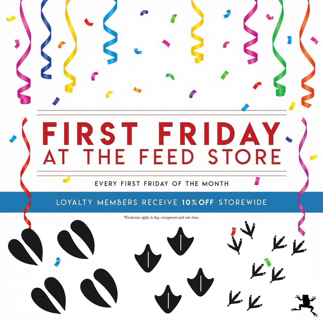 Rescue of the Month at The Feed Store