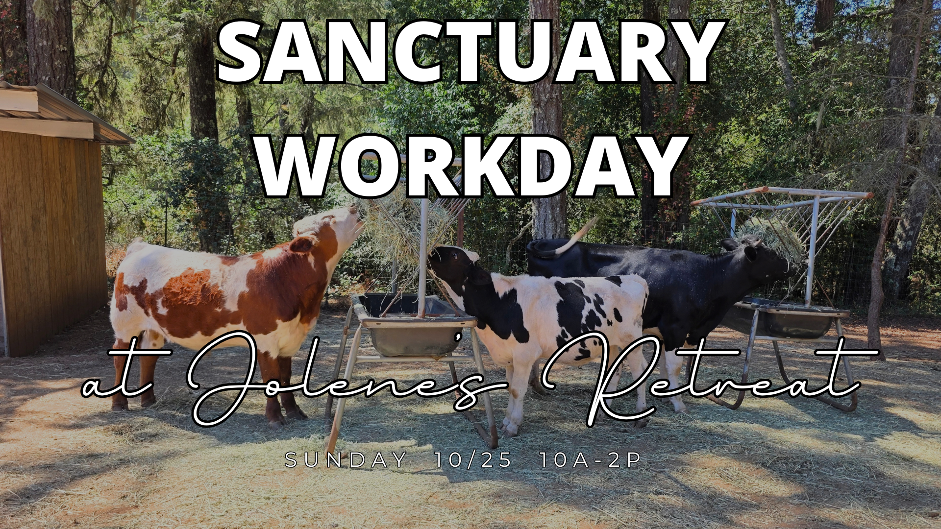 Sanctuary Workday