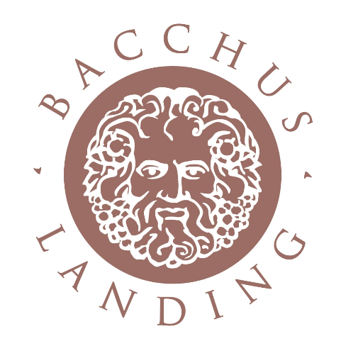 Bacchus Landing’s Holiday Bazaar!