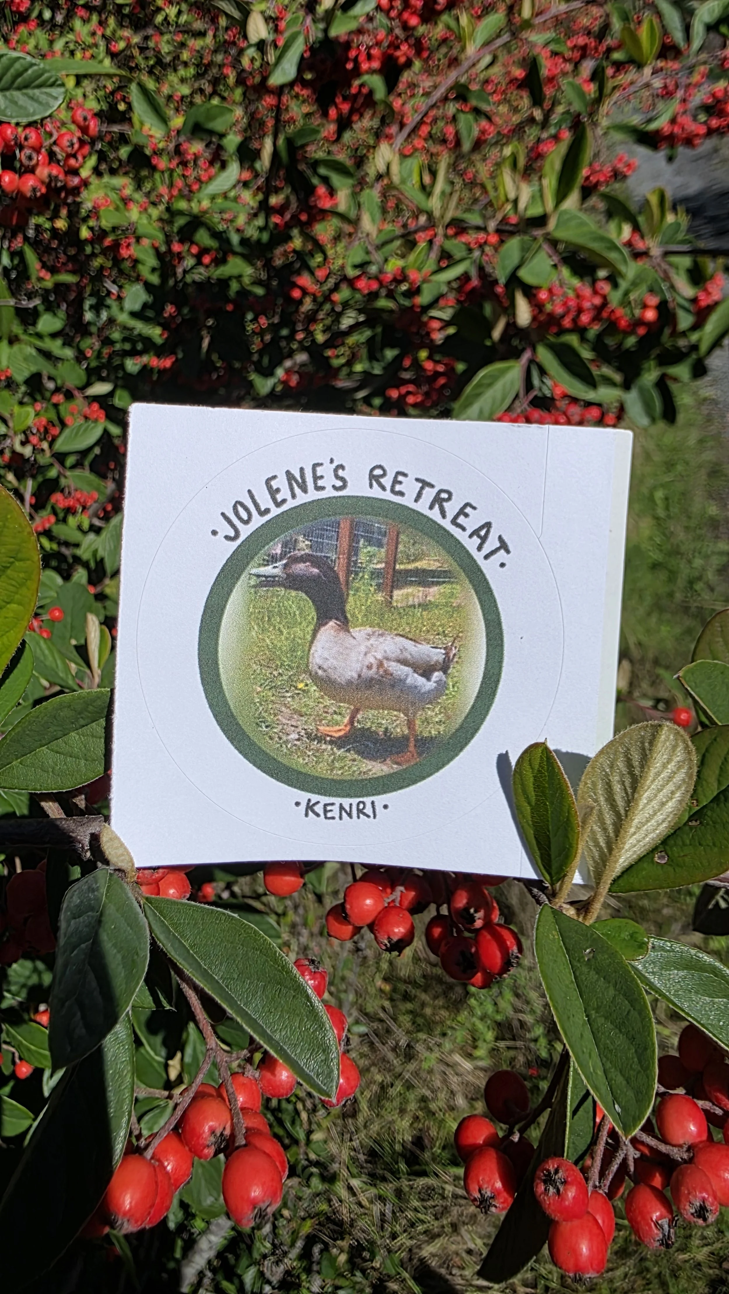 Kenri Sticker Closer.jpg