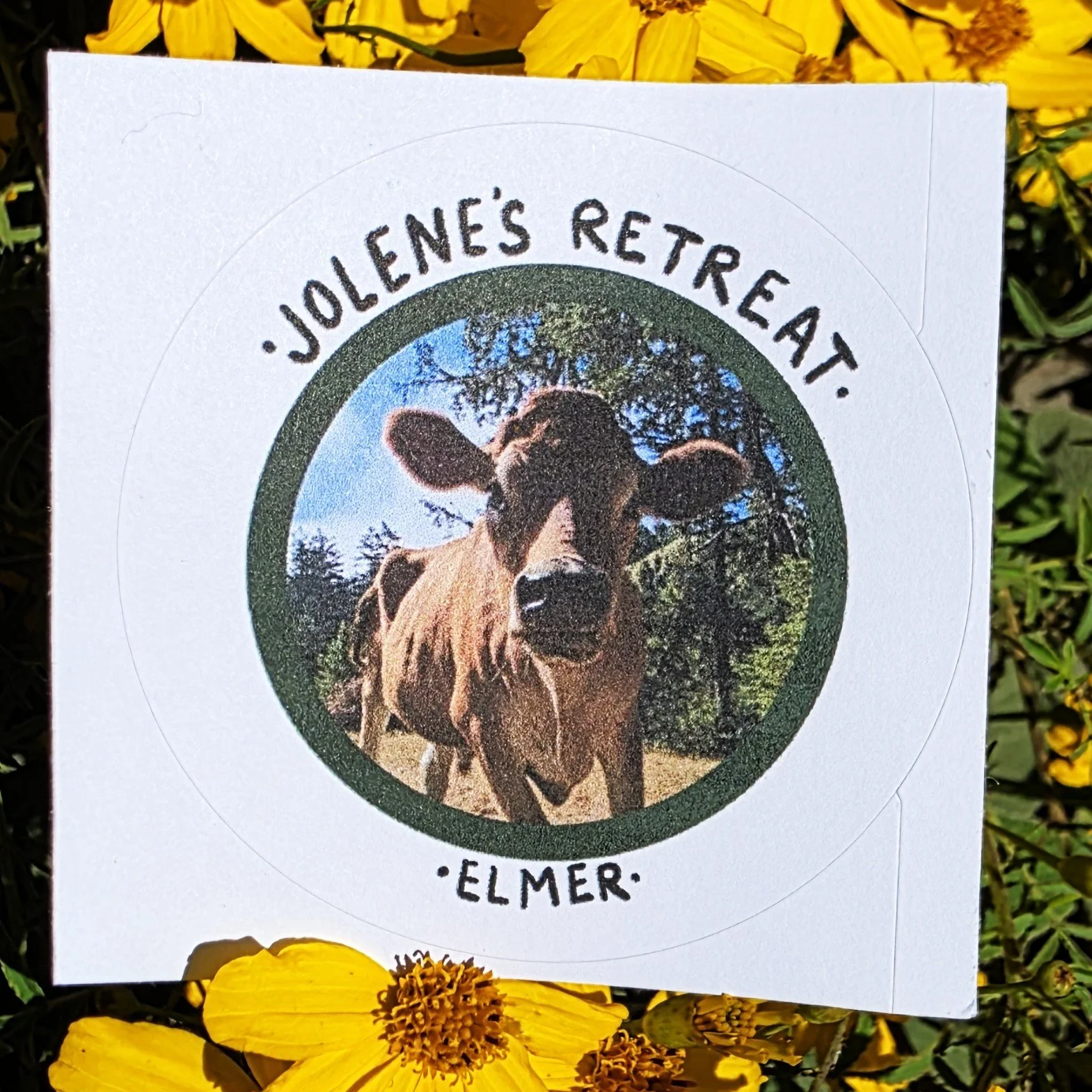 Elmer Sticker for Website.jpg