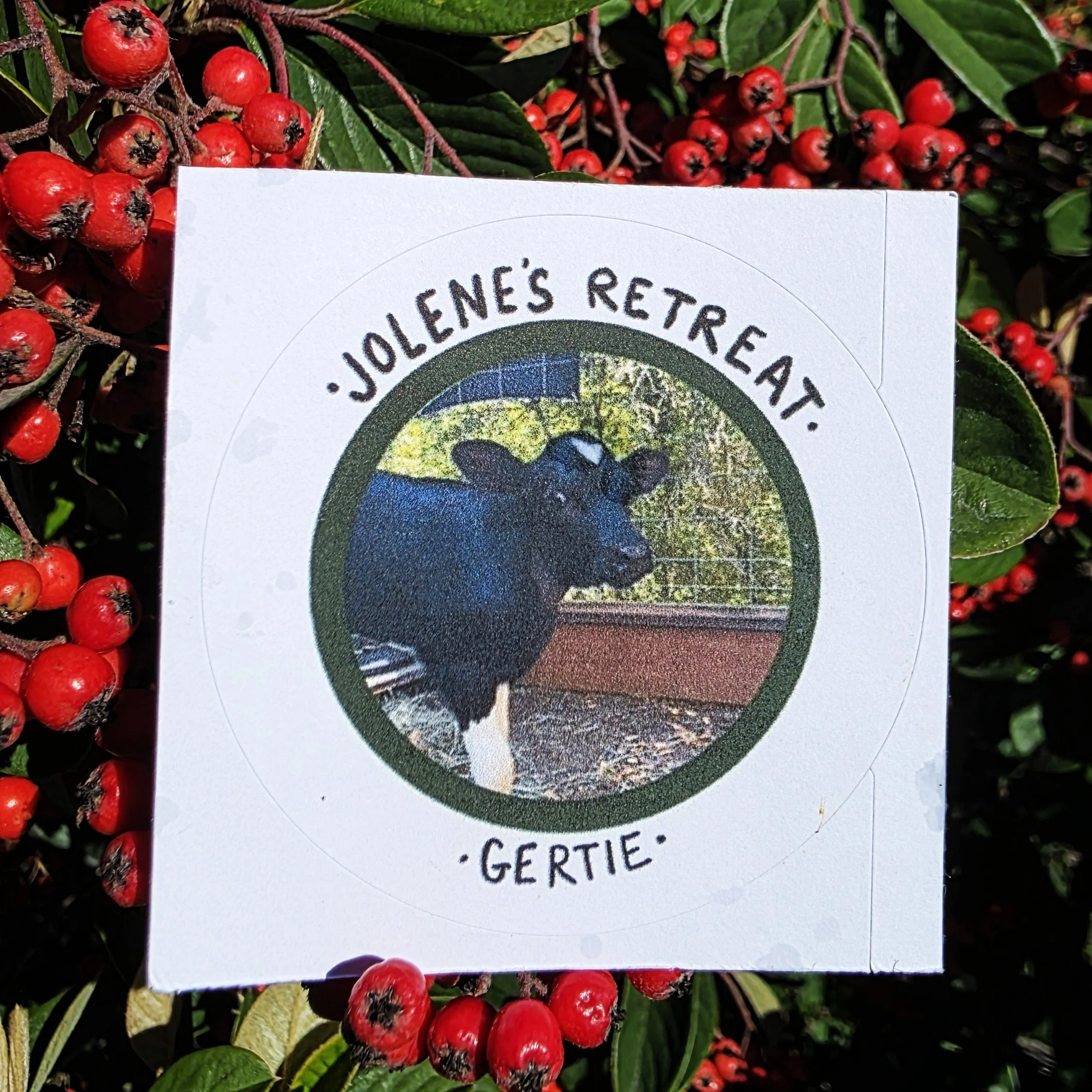 Gertie Sticker Website.jpg