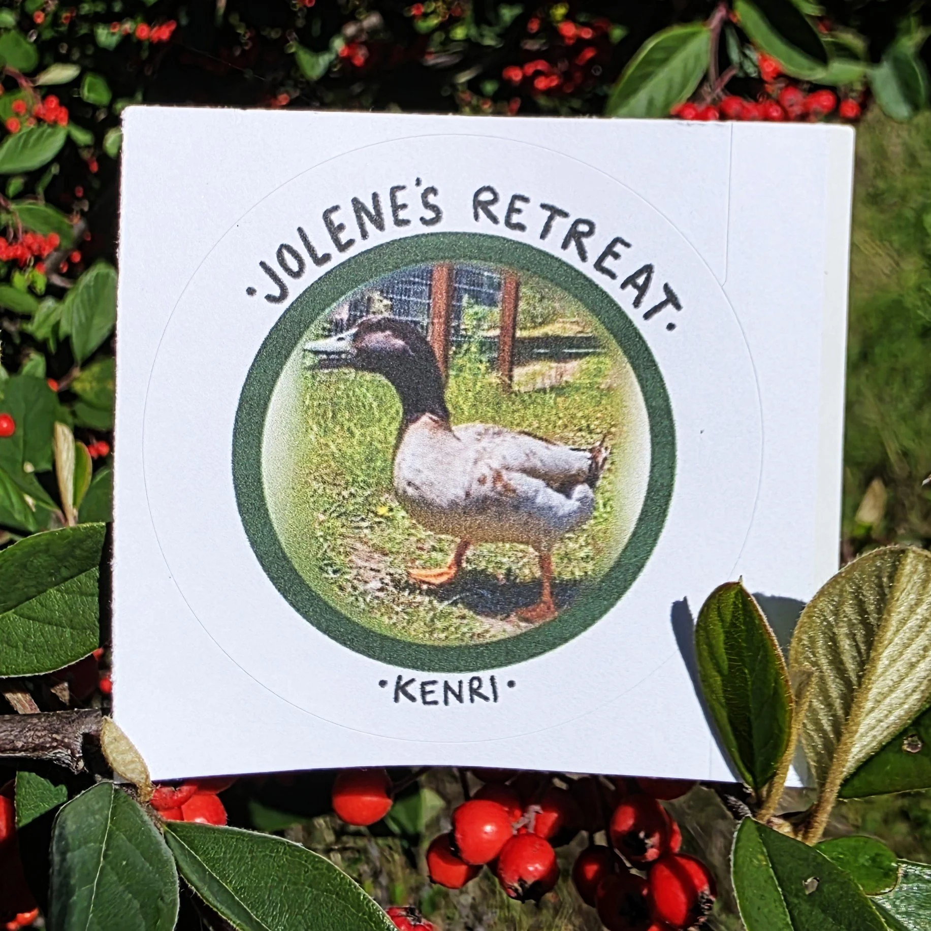 Kenri Sticker.jpg