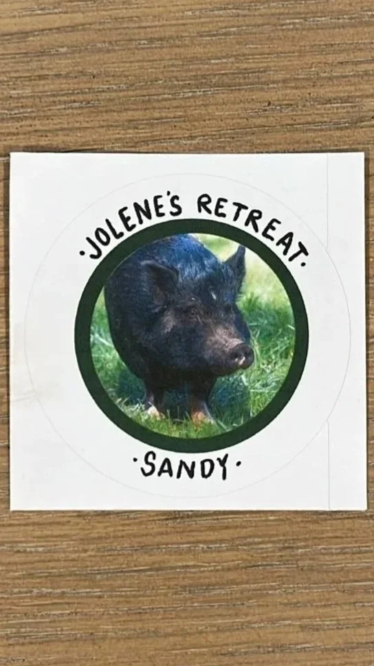 JR%2BSandy%2BSticker.jpg