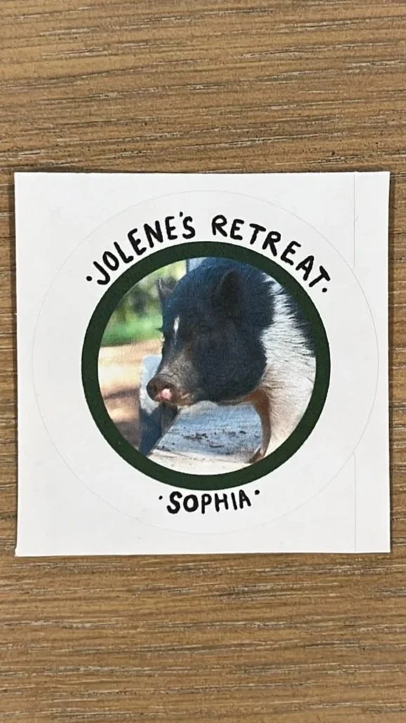 JR+Sophia+Sticker.jpg