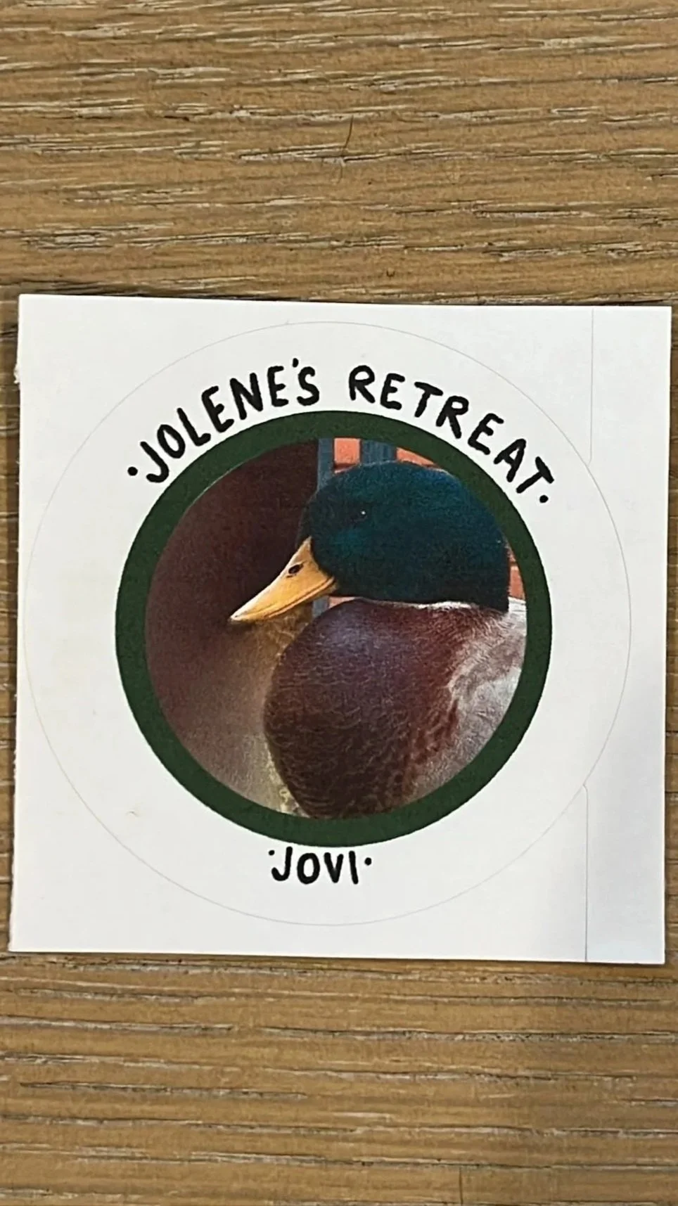 JR%2BJovi%2BSticker.jpg