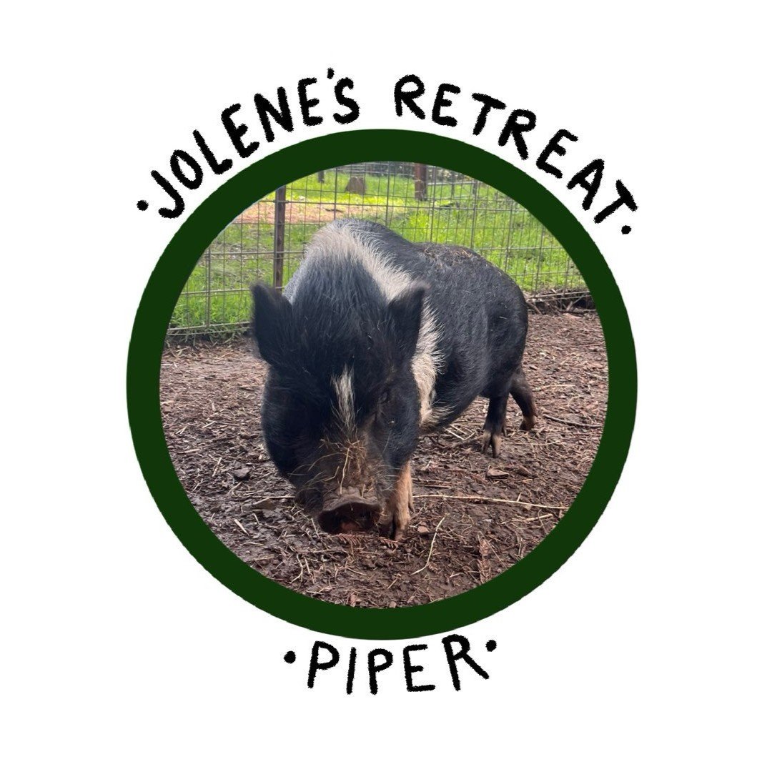 PiperSm.jpg
