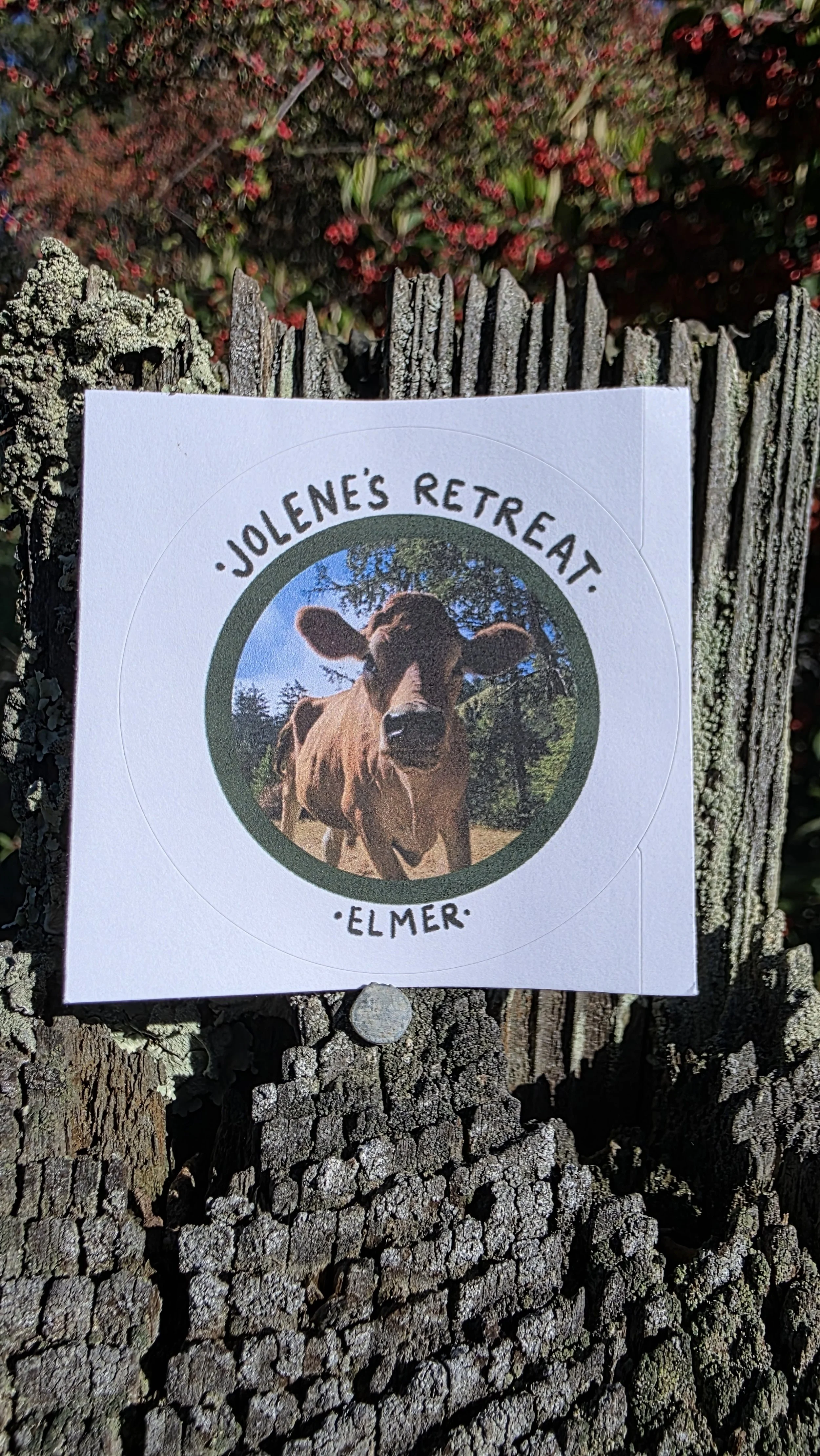 Elmer Sticker Closer.jpg