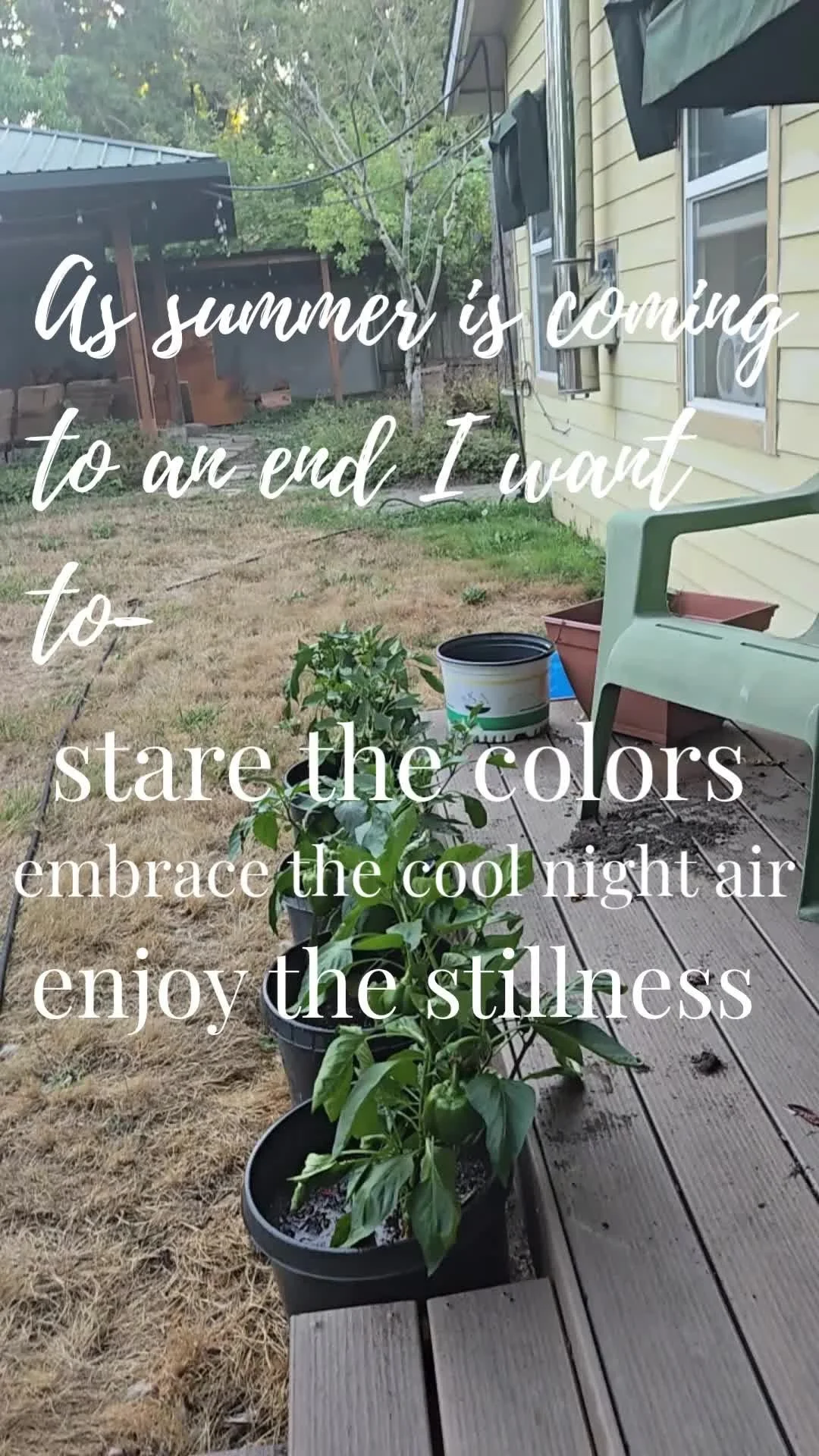 As summer slowly winds down, it’s hard to believe that in just a couple of months, our days will look so different. For now, I’m choosing to pause and truly enjoy the colors, the smells, and the cool evening air. I’m embracing what