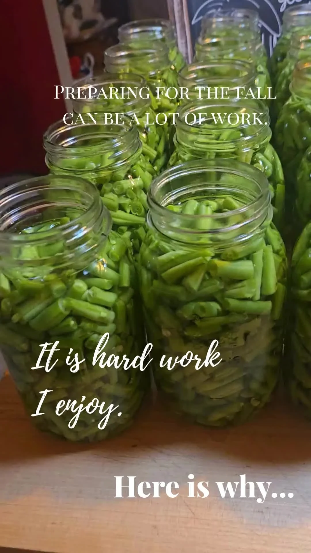 Preparing for fall can be hard work. Between canning food, preparing the house, and cleaning the yard, there are so many chores to complete. Yes—it’s hard work. But I don’t dread it, because this is the kind of work I enjoy.
The tr