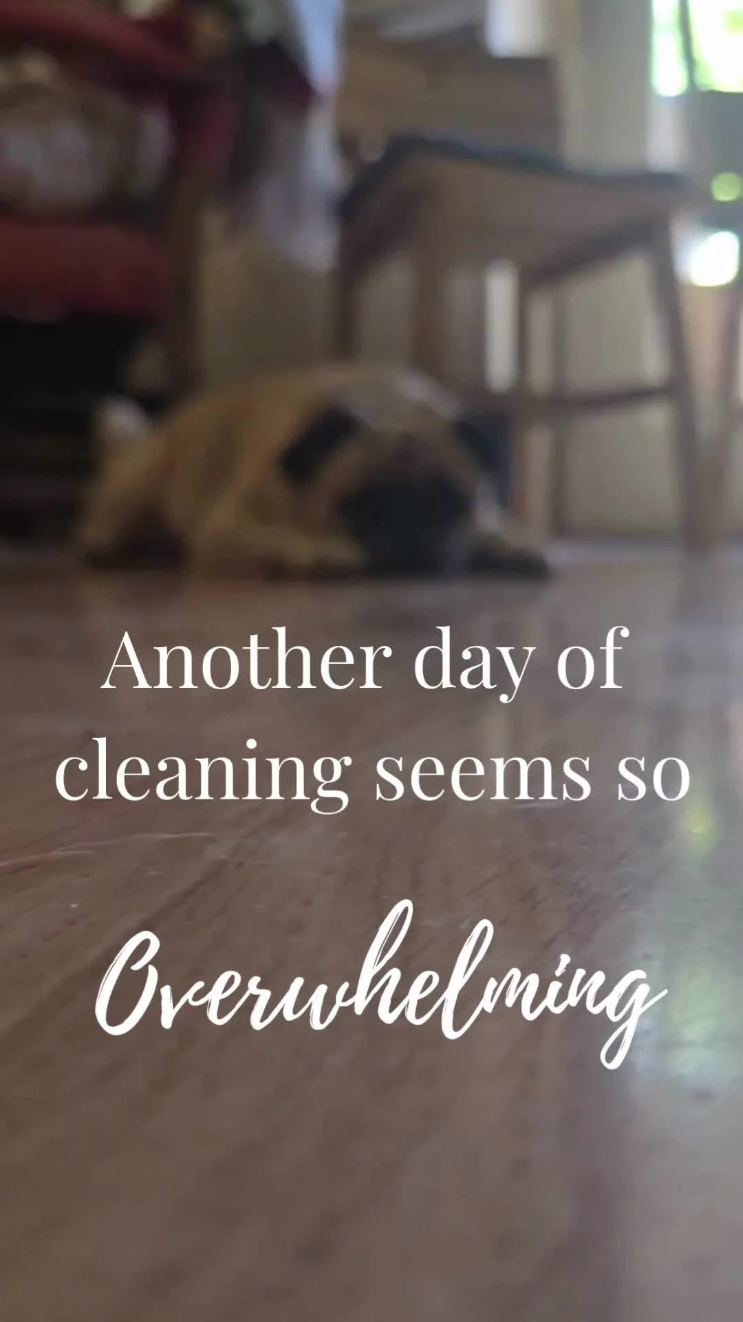 Cleaning is not my strong suit. Honestly, it’s something I really have to dig deep to find motivation for. But over the years, God has reminded me to be thankful for three things when it comes to cleaning my home:
1️⃣ Conviction – God ge