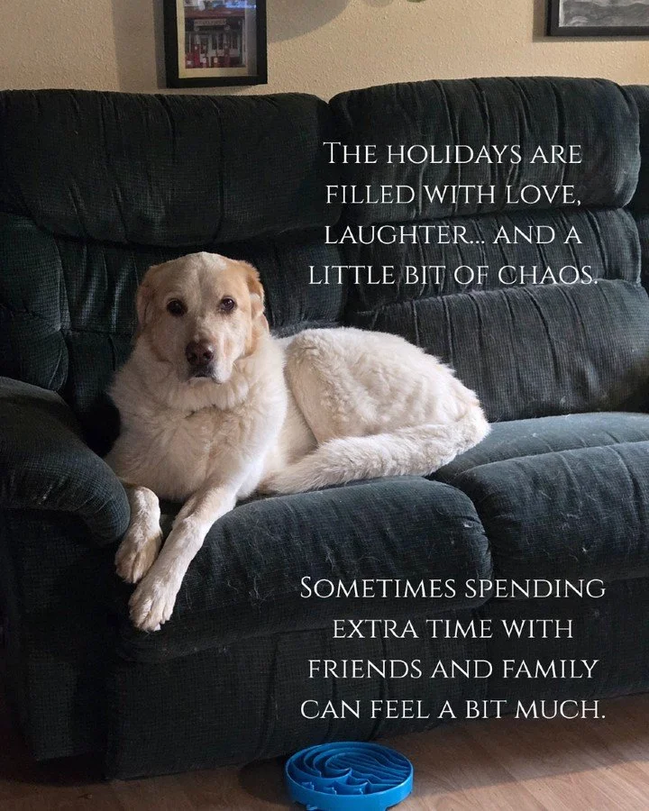 The holidays can bring both joy and tension&mdash;especially when family personalities collide. I&rsquo;ve learned that when I pause, take a breath, and focus on what really matters, those small annoyances fade. The holidays aren&rsquo;t about perfec