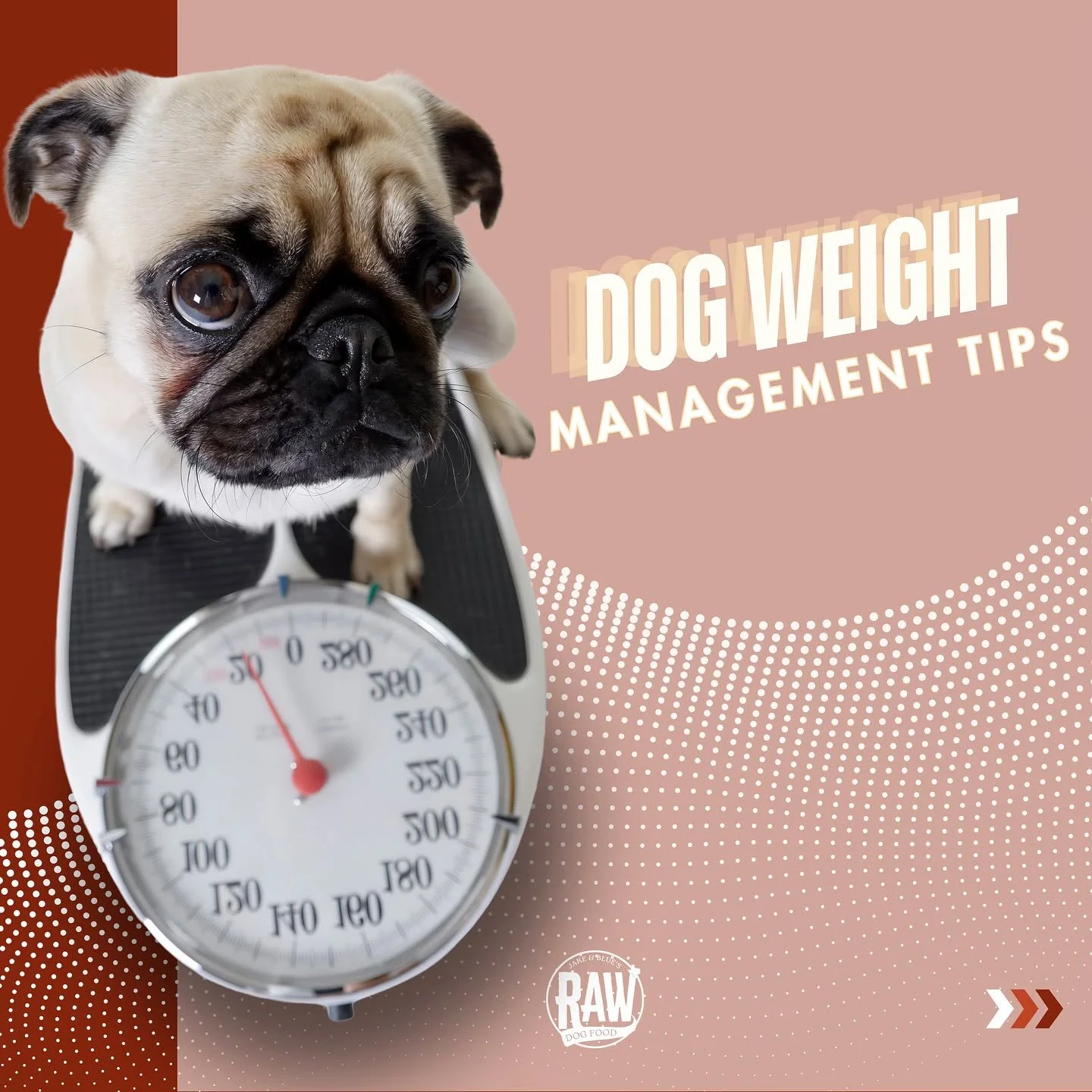 The easiest way to help your dog&rsquo;s overall health is to keep them a healthy weight! We know it can be a delicate topic. However, we&rsquo;ve included an assessment that you can do at home while giving your dog a BIG HEALTHY HUG🫶 Warning: they 