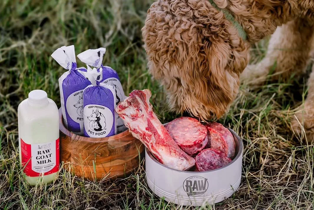 We are delivering in the Dallas/ Fort Worth area tomorrow for those that need to place an order! Questions about drop locations? Visit our website at jakeandblues.com or give us a call at 325-805-1488 #rawfeedingcommunity #rawdogfood #rawfeddogsofins