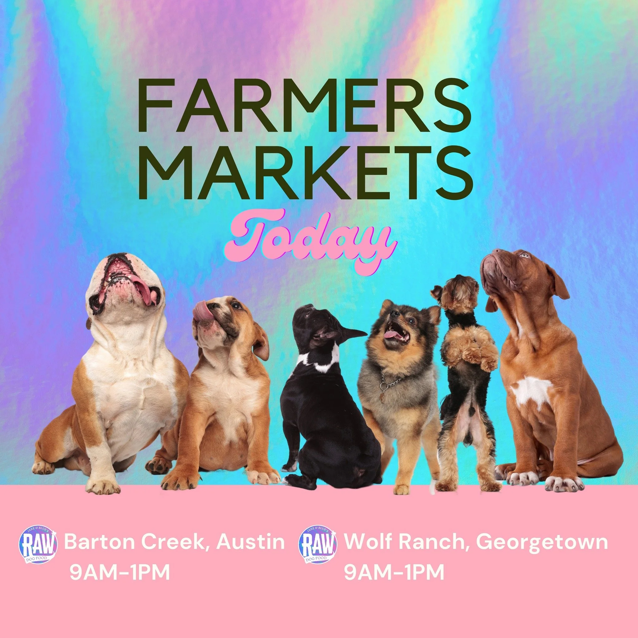 Load up your pets &amp; come see us today!! 🍖 
#farmersmarketfinds #dogsofgeorgetown #atxdogs #feedraw