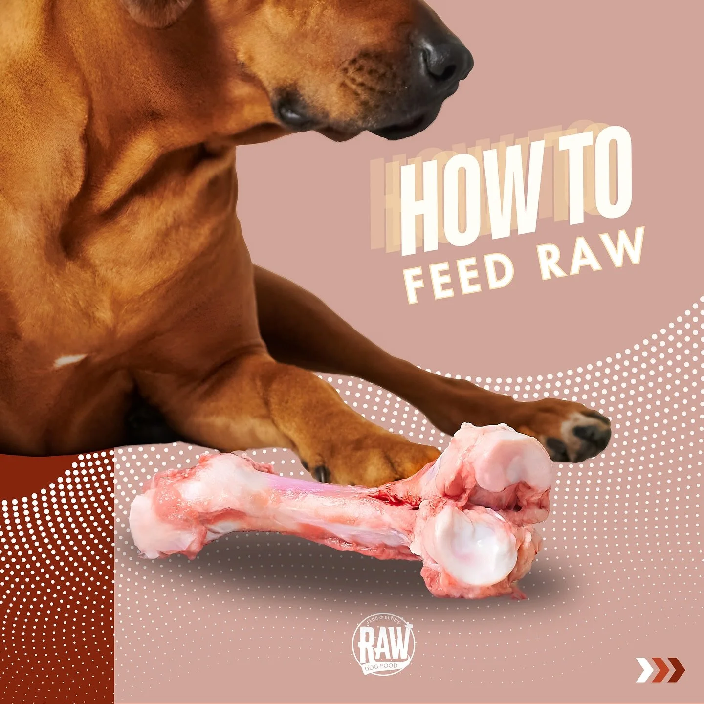 Dropping our suggested 🔥feeding guide🔥 to make your pet&rsquo;s meal perfectly portioned to his/her individual needs. Have more questions? Send us a message! ✅ 
🍖Happy feeding!!🍖 #rawfeddogs #rawdogfood #jakeandbluesrawdogfood