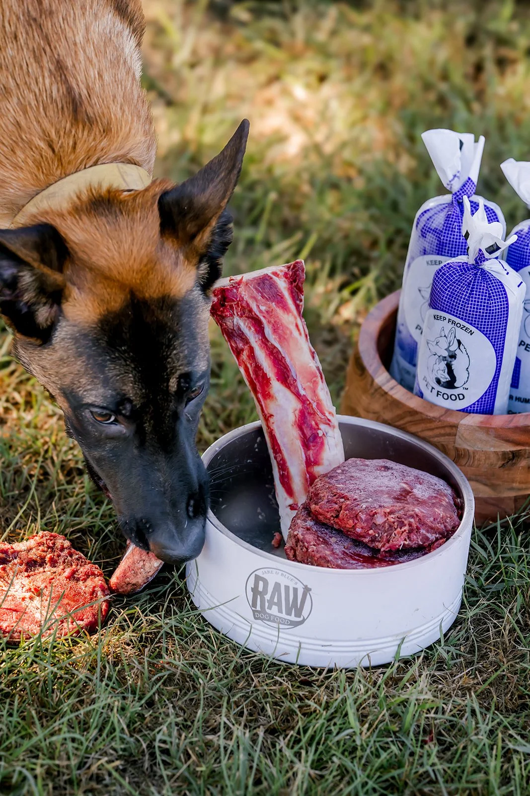 Jake And Blues Raw Dog Food