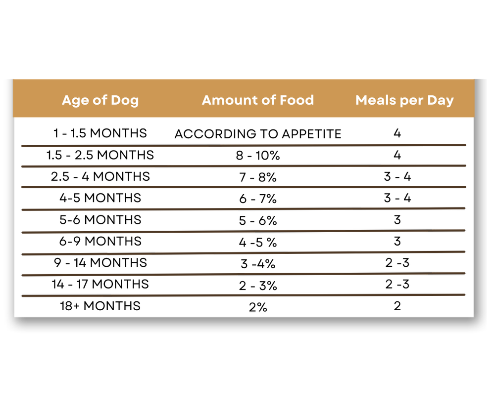 learn-jake-and-blues-raw-dog-food