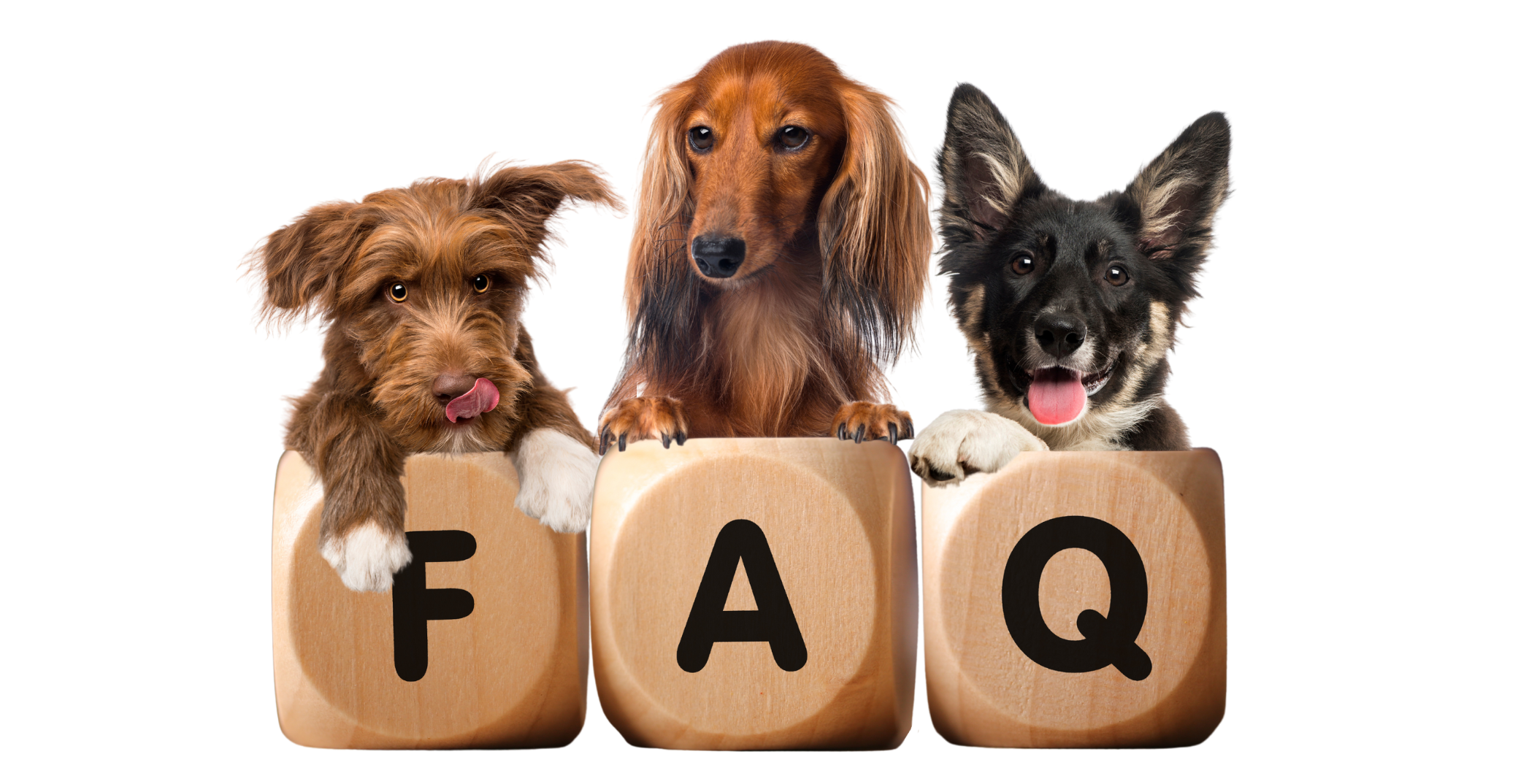 FAQ Jake And Blues Raw Dog Food example-of-balanced-raw-dog-food-recipe-easy-to-follow-a-sample