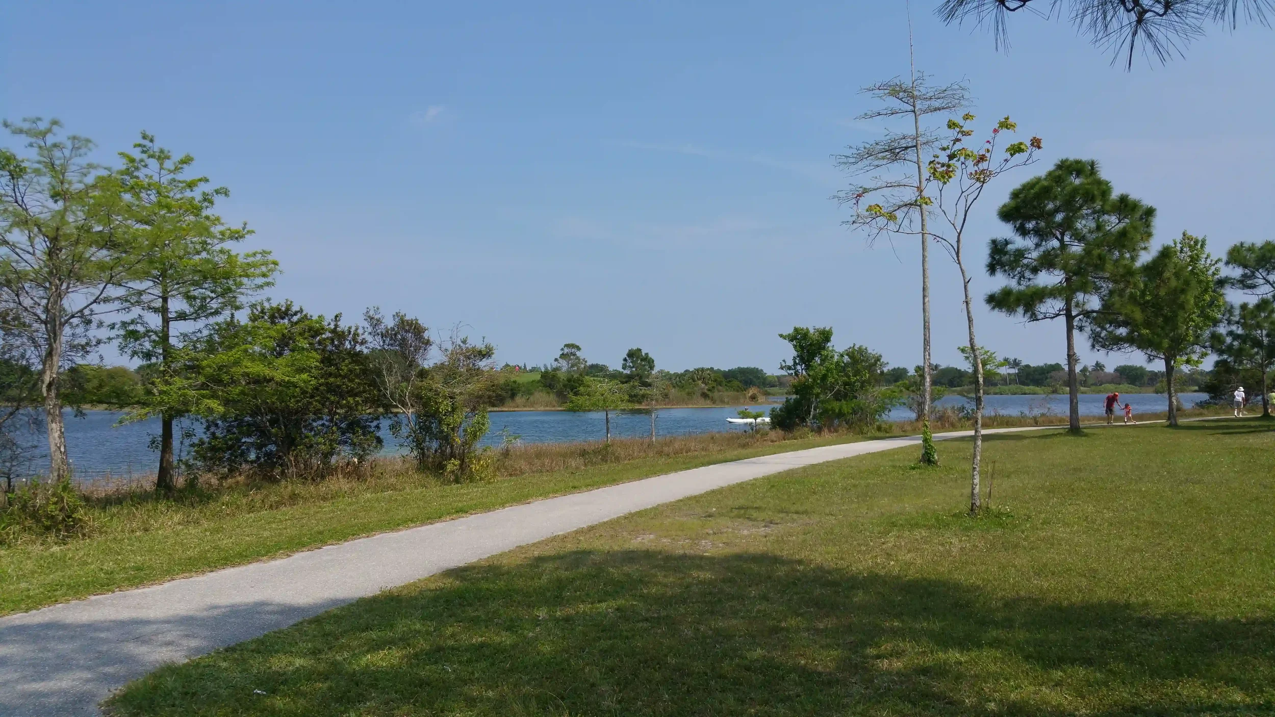 Florida park path symbolizing recovery through therapy with Michelle Robin Gould LMHC