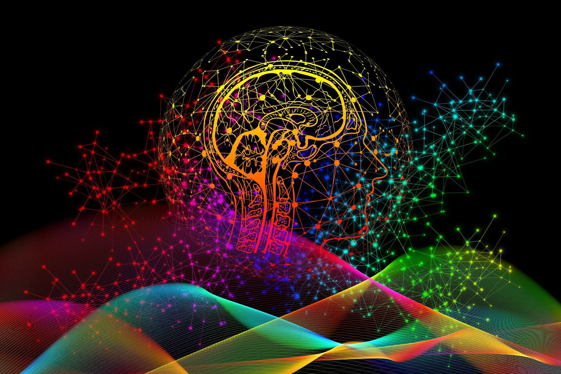 A digital illustration of a human head profile with a glowing outline, overlaid with a neural network of colorful interconnected nodes and lines, representing Website Privacy Policy and Terms of Use for Michelle Robin Gould Corporation.