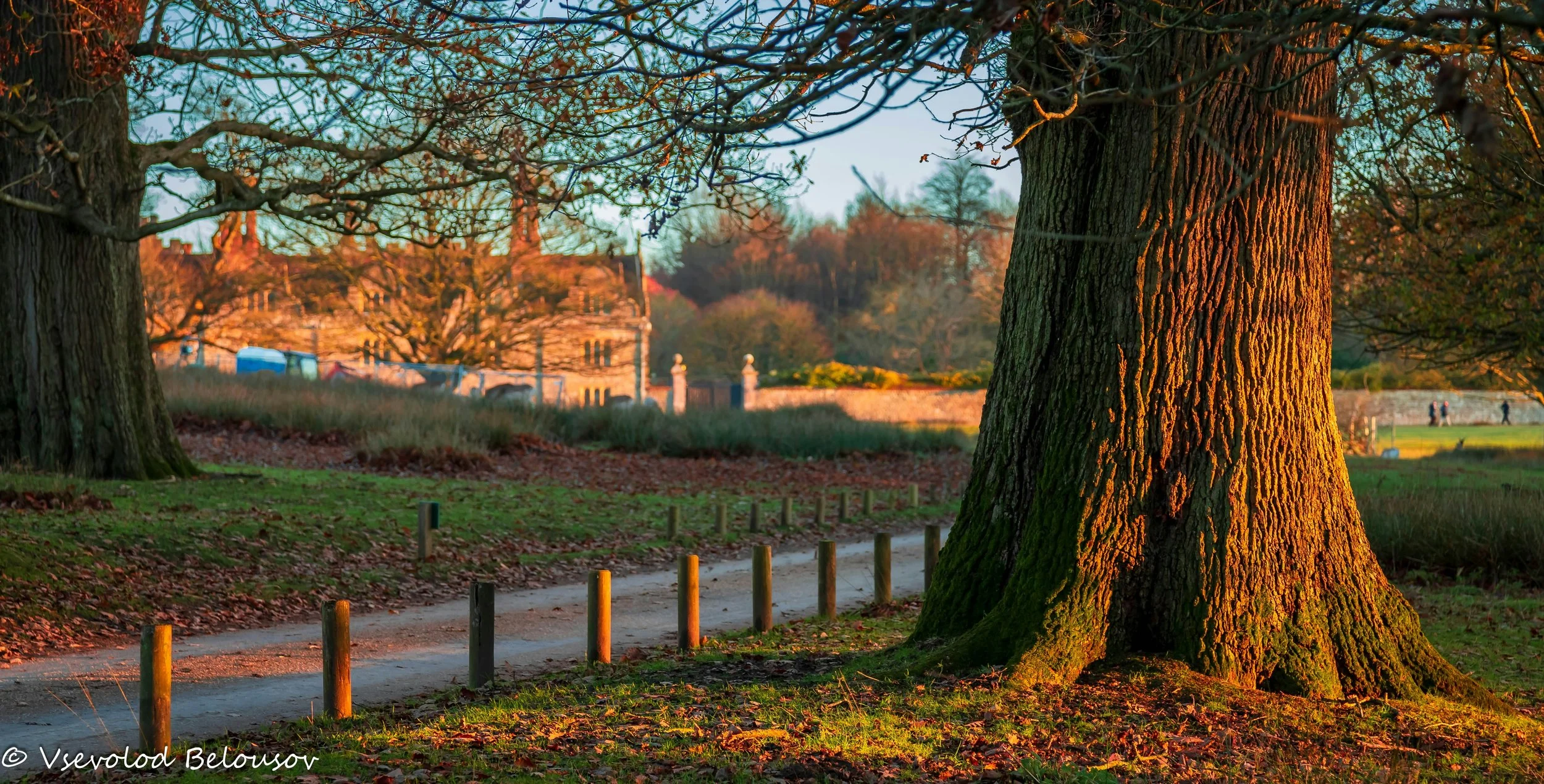 Knole Deer Park Circular | 15 km