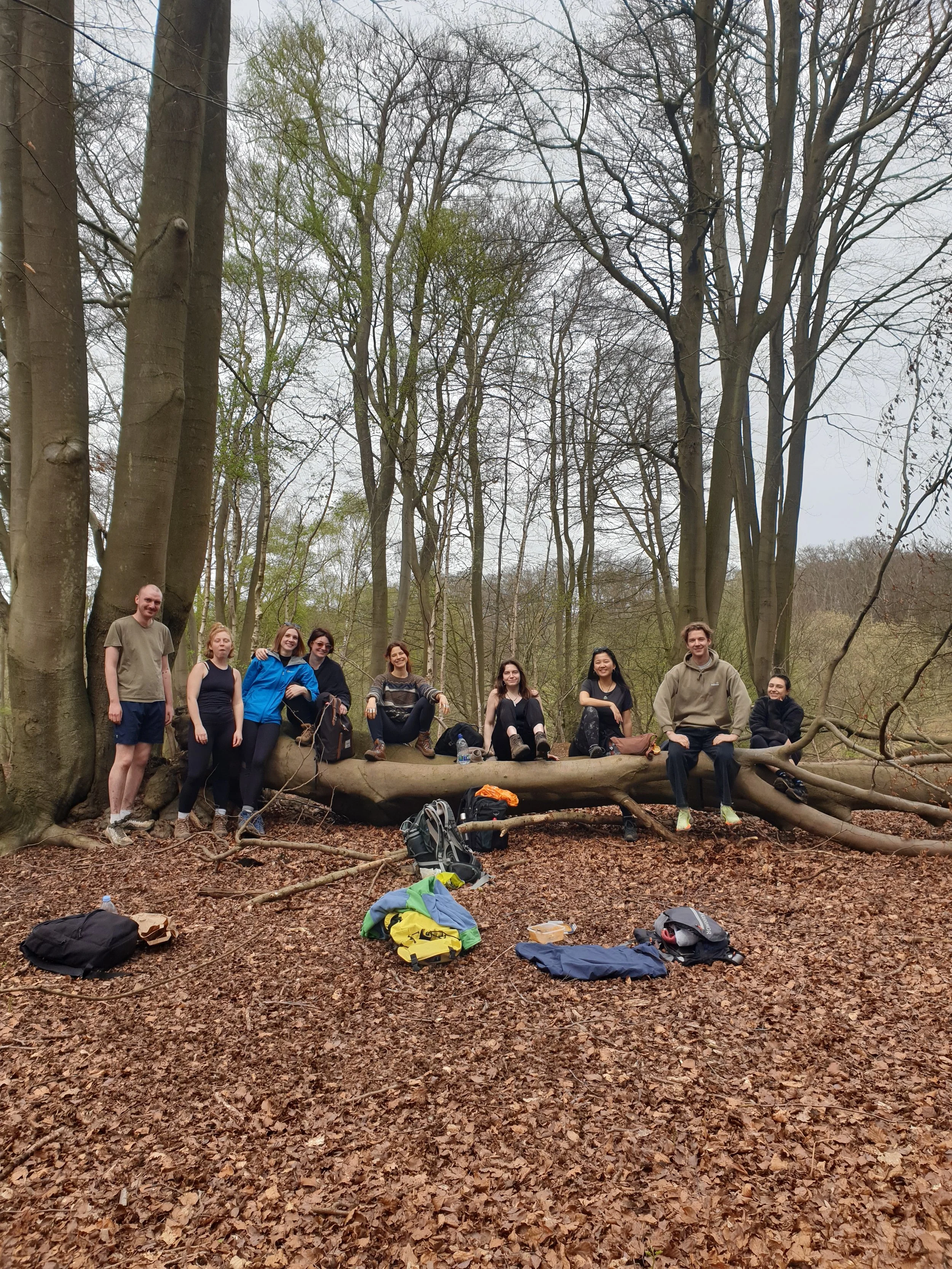 A group of people, some sitting and some standing, in a forest area with tall, leafless trees. The ground is covered with brown fallen leaves, and various backpacks and outdoor gear are scattered in the foreground.