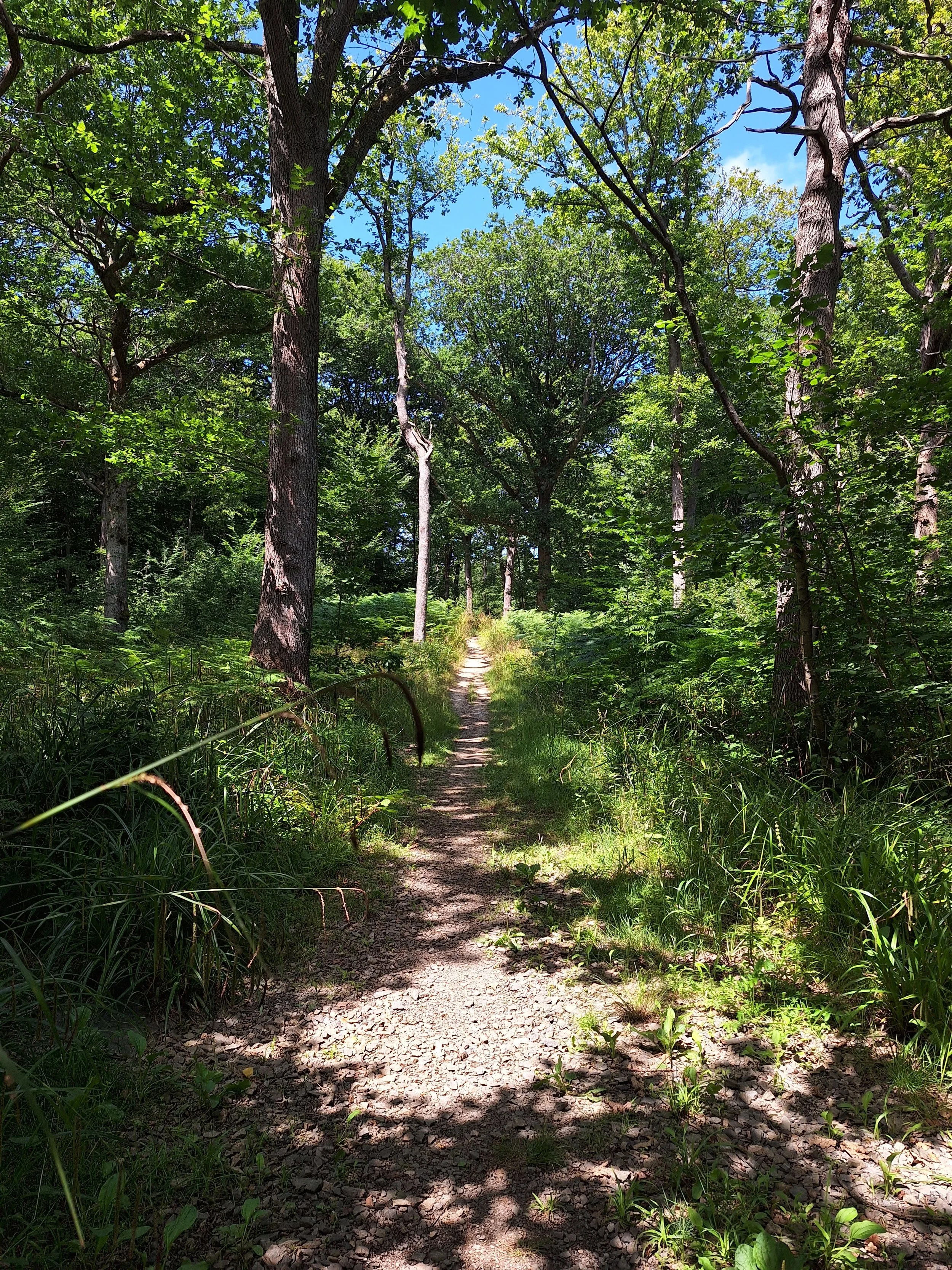 Canterbury Countryside Circular  | 30 km