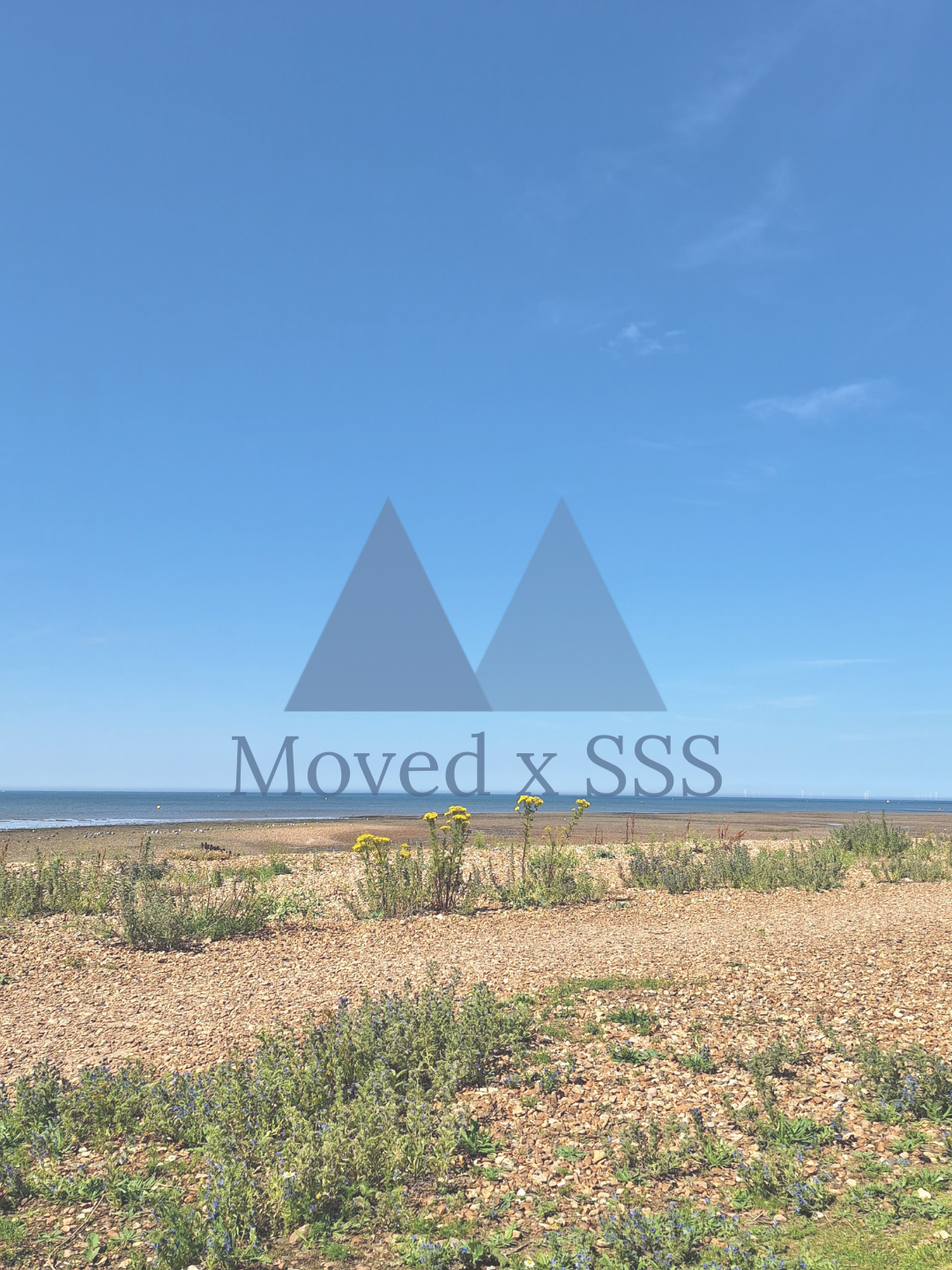 Moved x SSS May.png