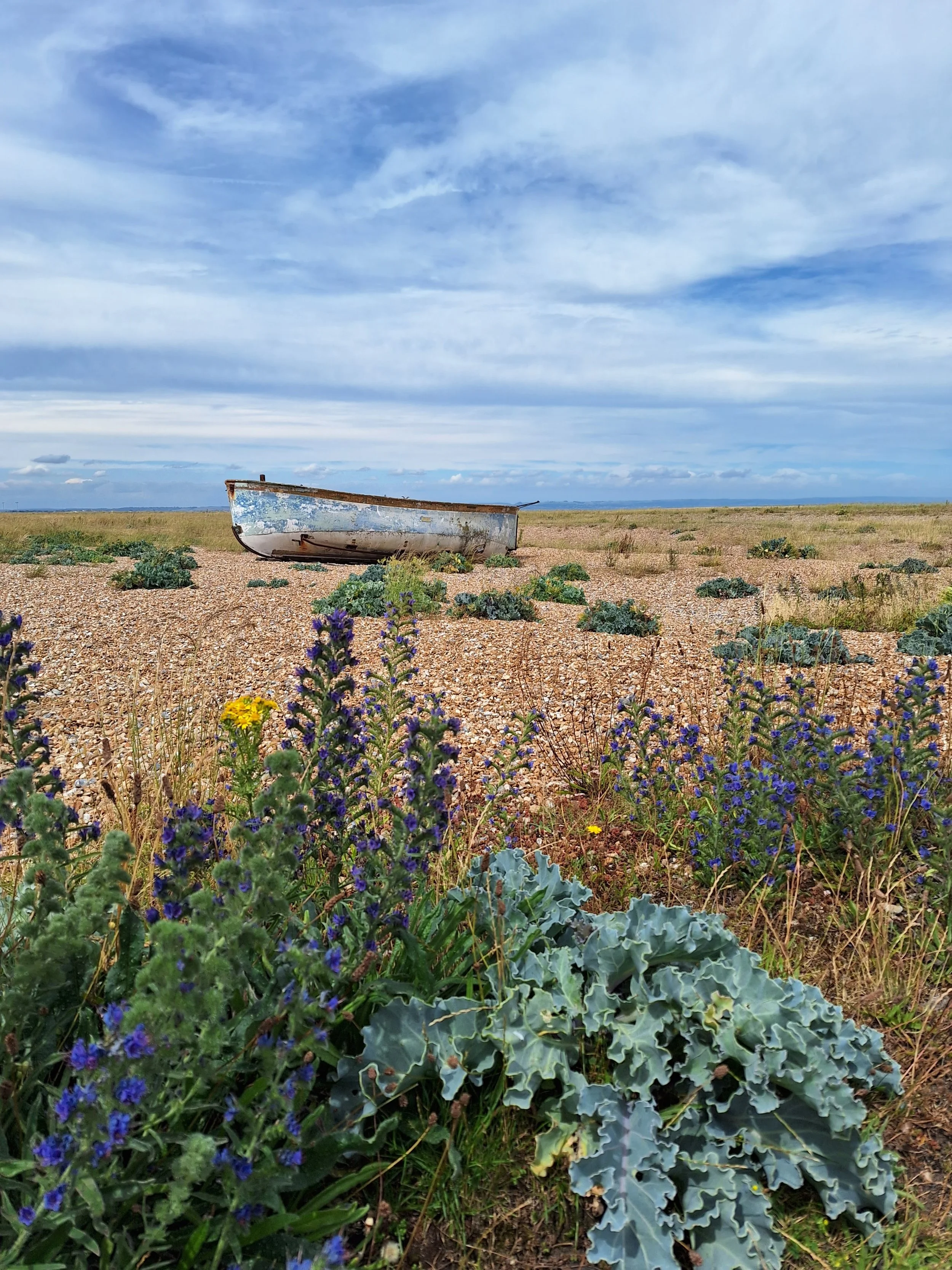 Dungeness.jpg