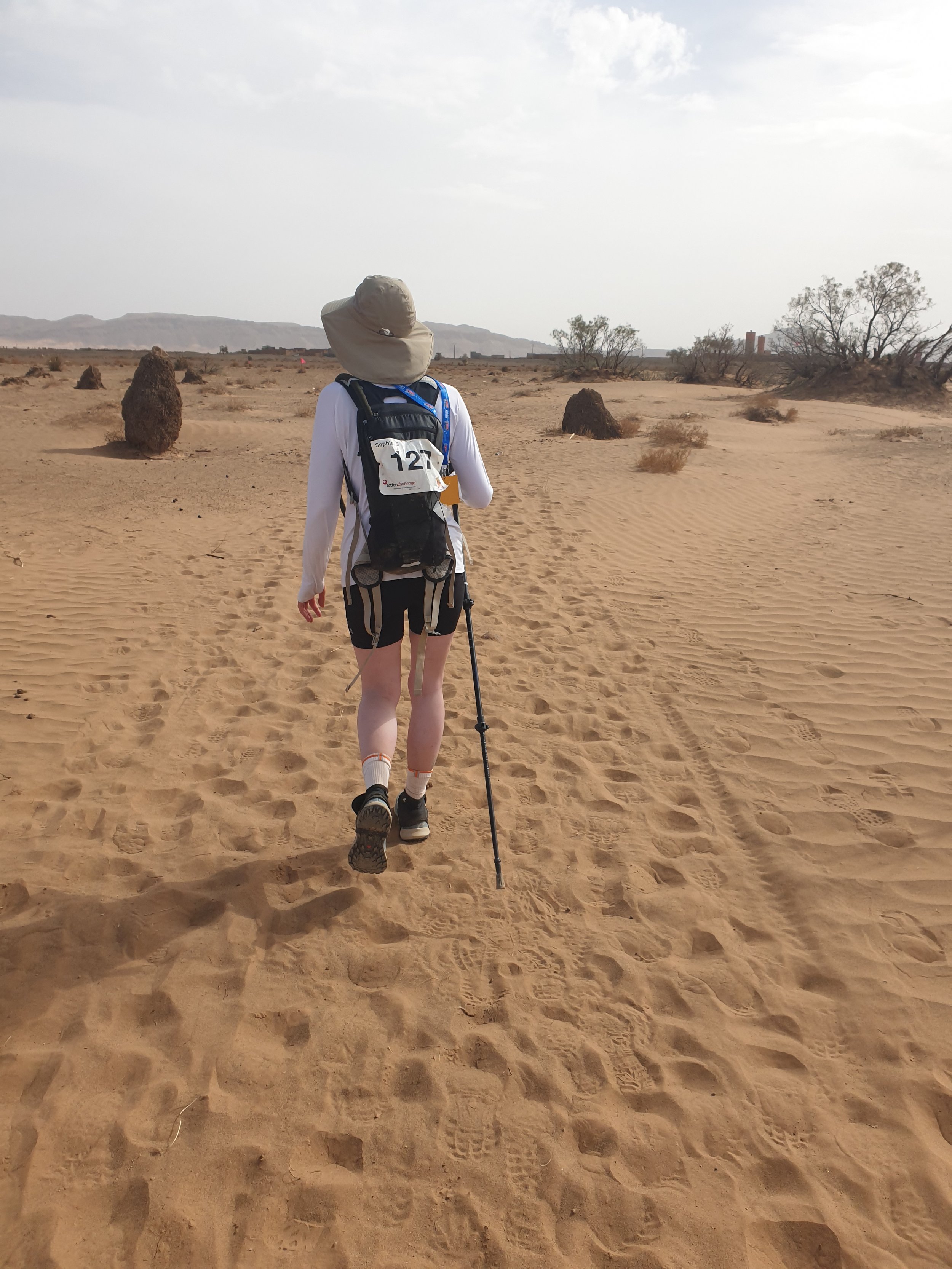 Sahara2.jpg