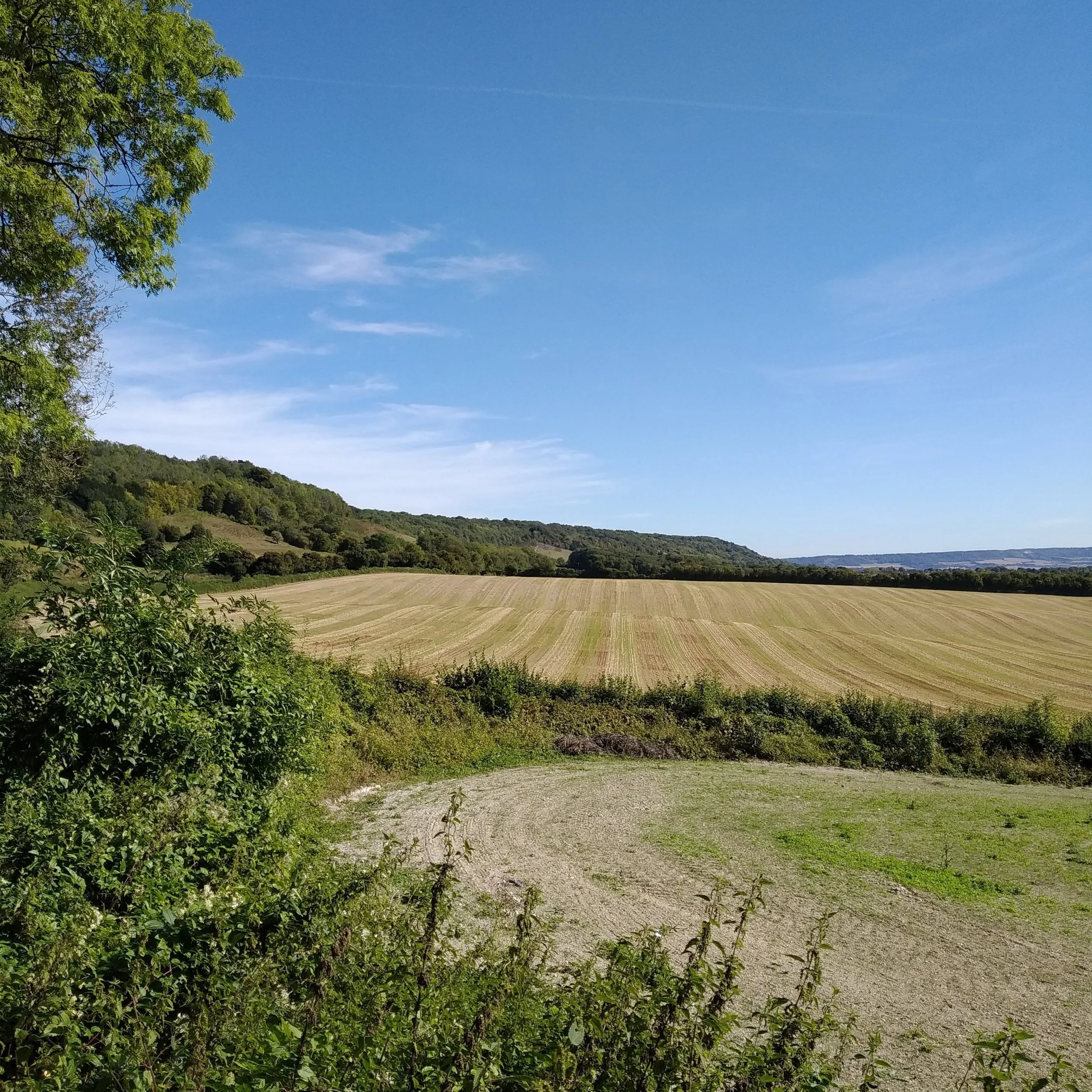 Charing & Lenham Circular | 25 km