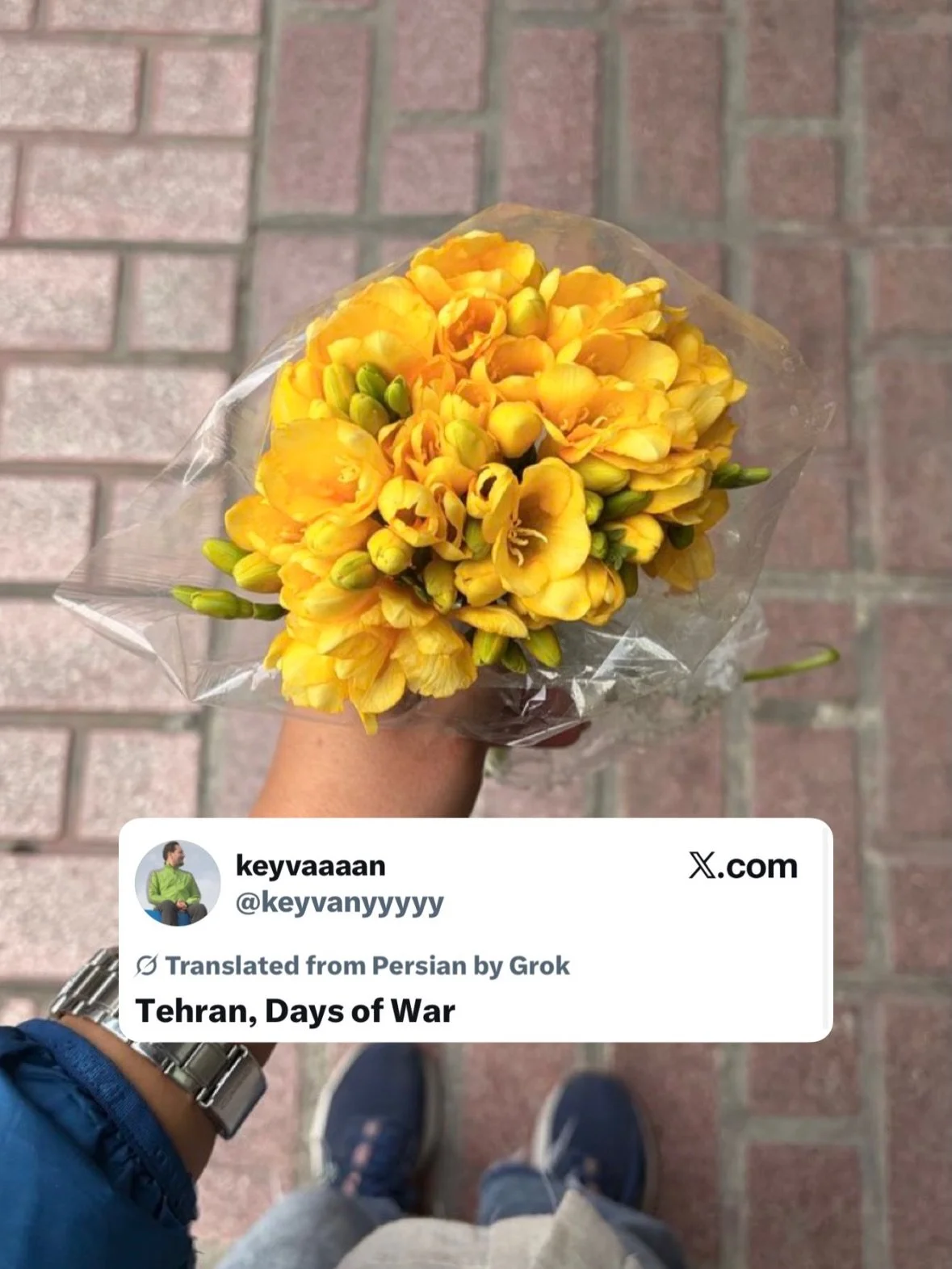 If you want to understand a war, don&rsquo;t start with official statements.
Start with what ordinary people manage to say while it&rsquo;s happening.

These are just a few public tweets from inside Iran, messages that barely made it out before the r