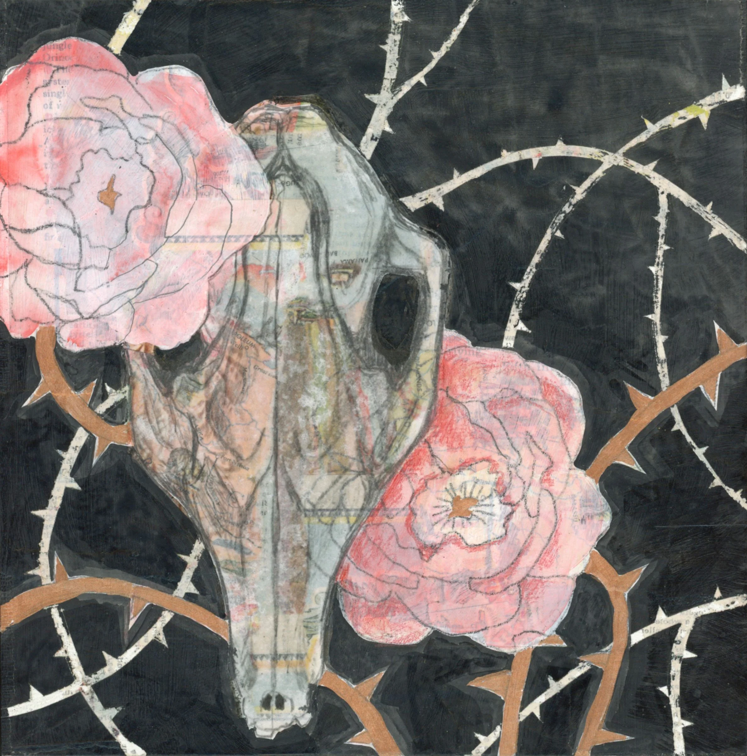 Skull Study, Grey Fox - Original Mixed Media Art