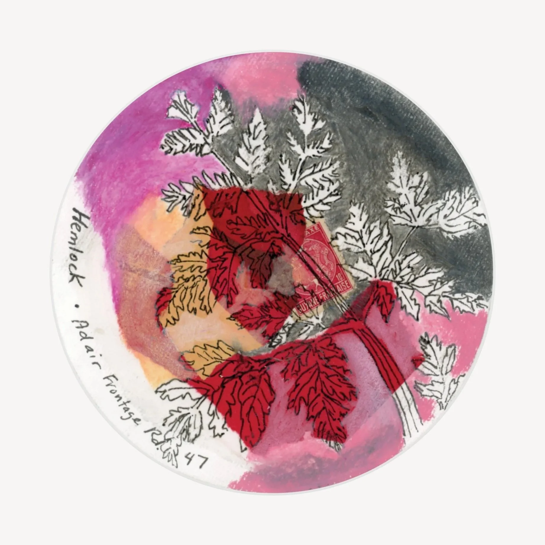 100 Days - No. 47, Hemlock