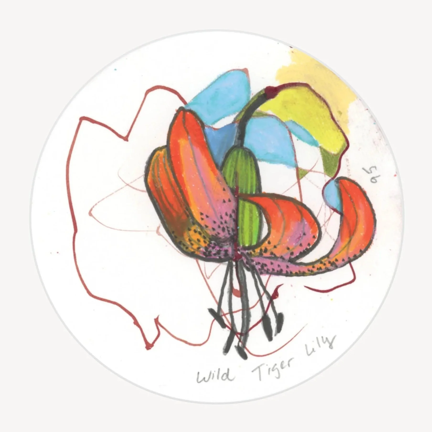 100 Days - No. 095, Wild Tiger Lily