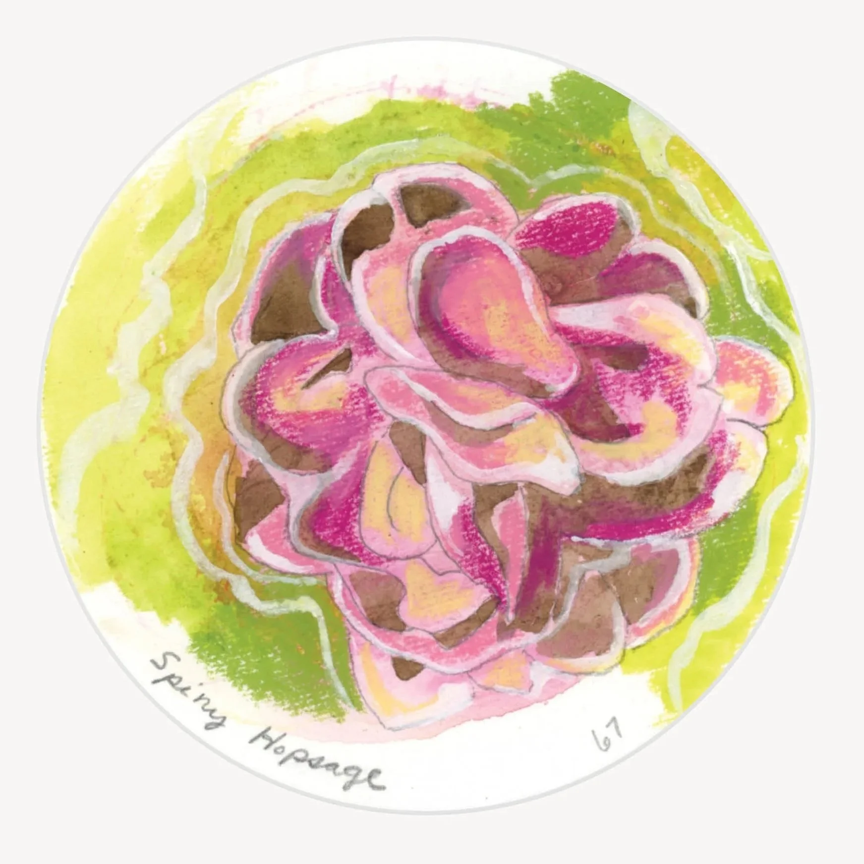 100 Days - No. 067, Spiny Hopsage