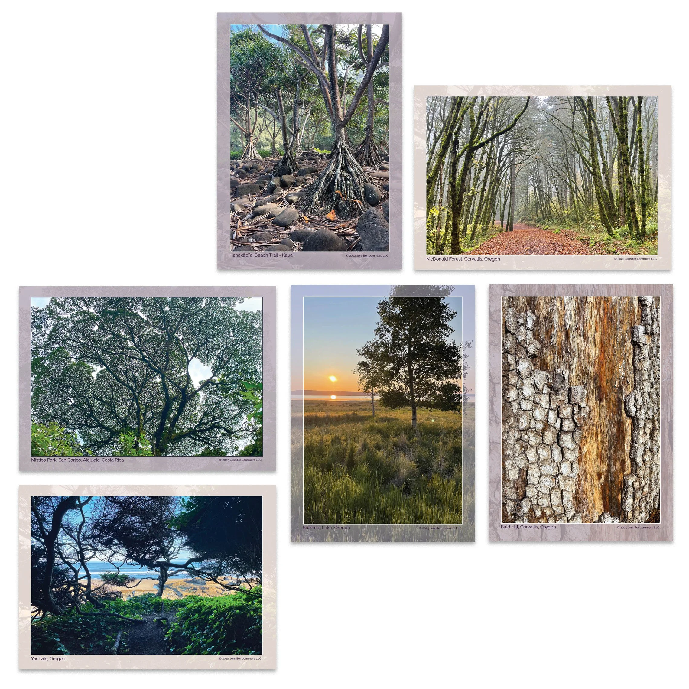 trees_postcard1.jpg