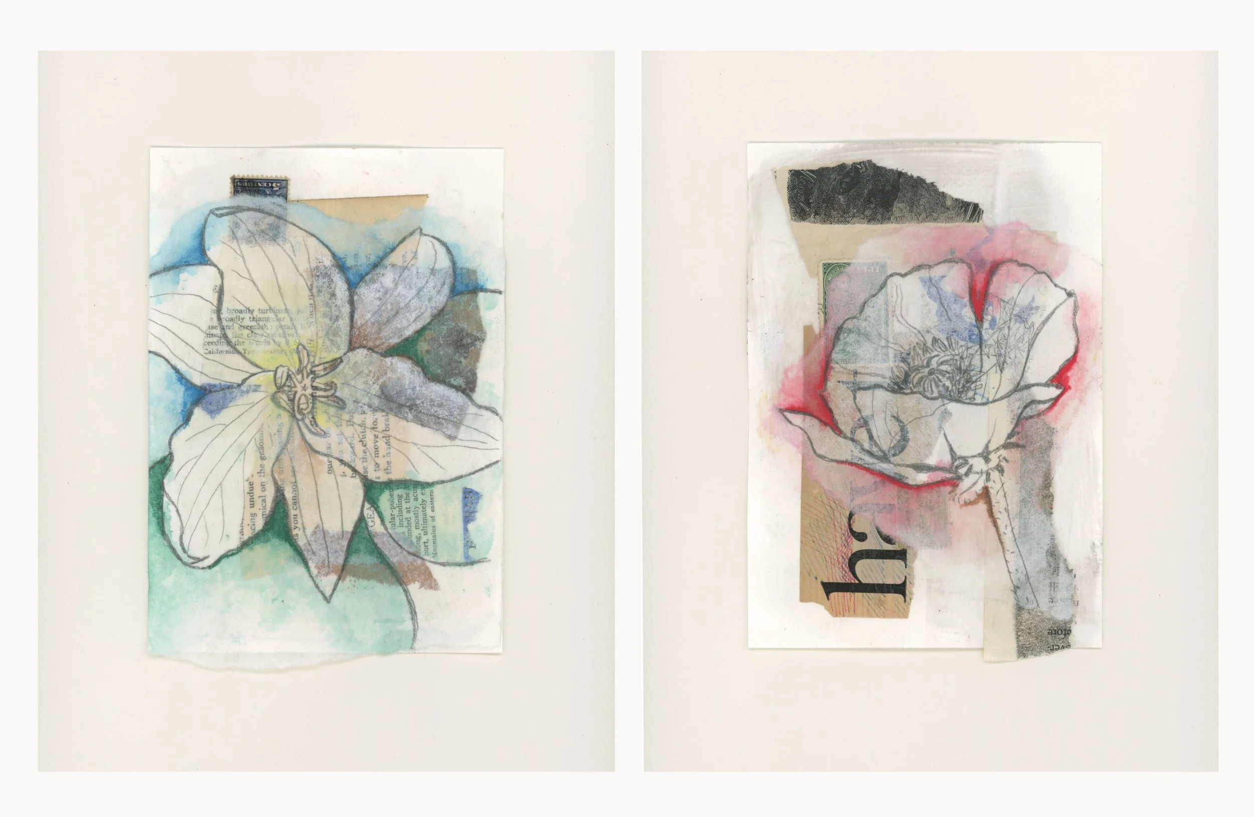 "Apparitions" Collection | 7x5 inch, 2026