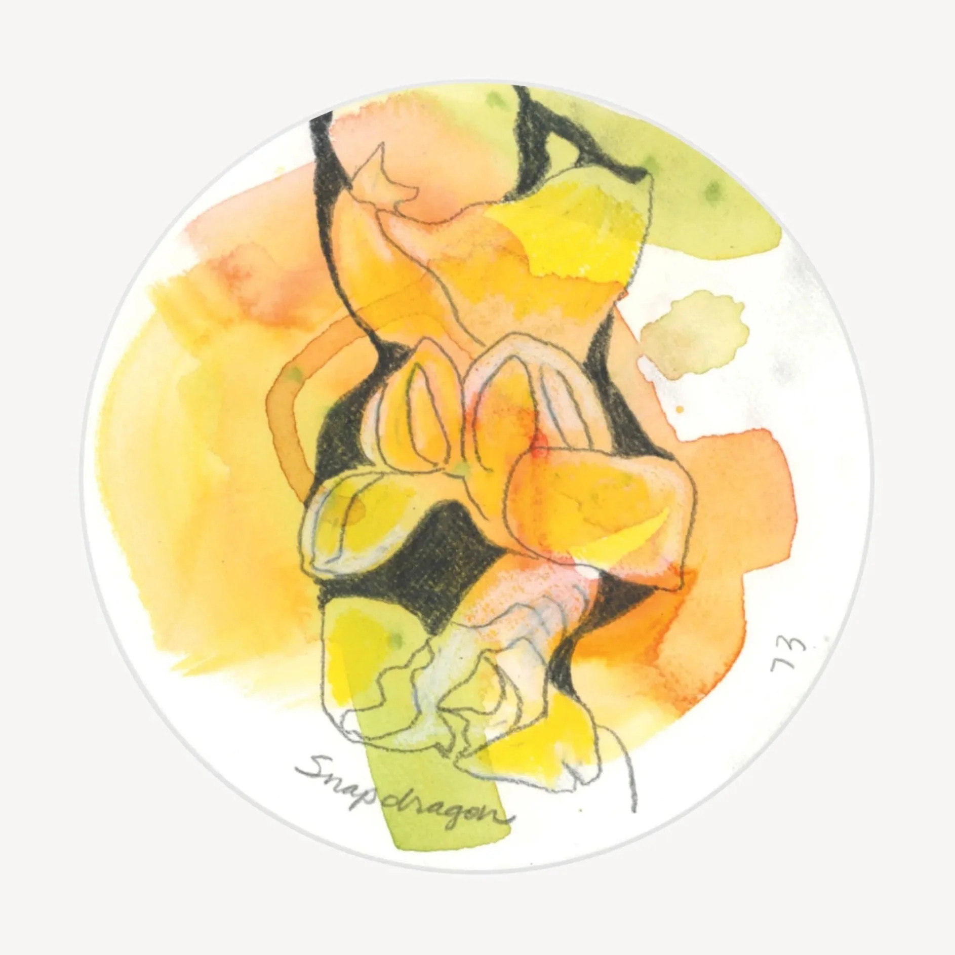 100 Days - No. 073, Snapdragon