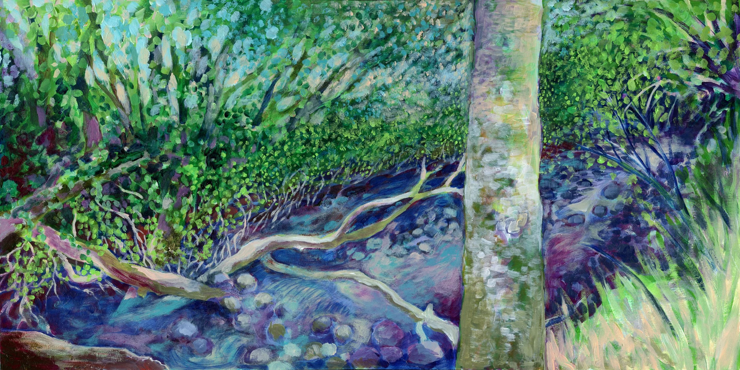 Location: McDonald Forest, Corvallis, Oregon