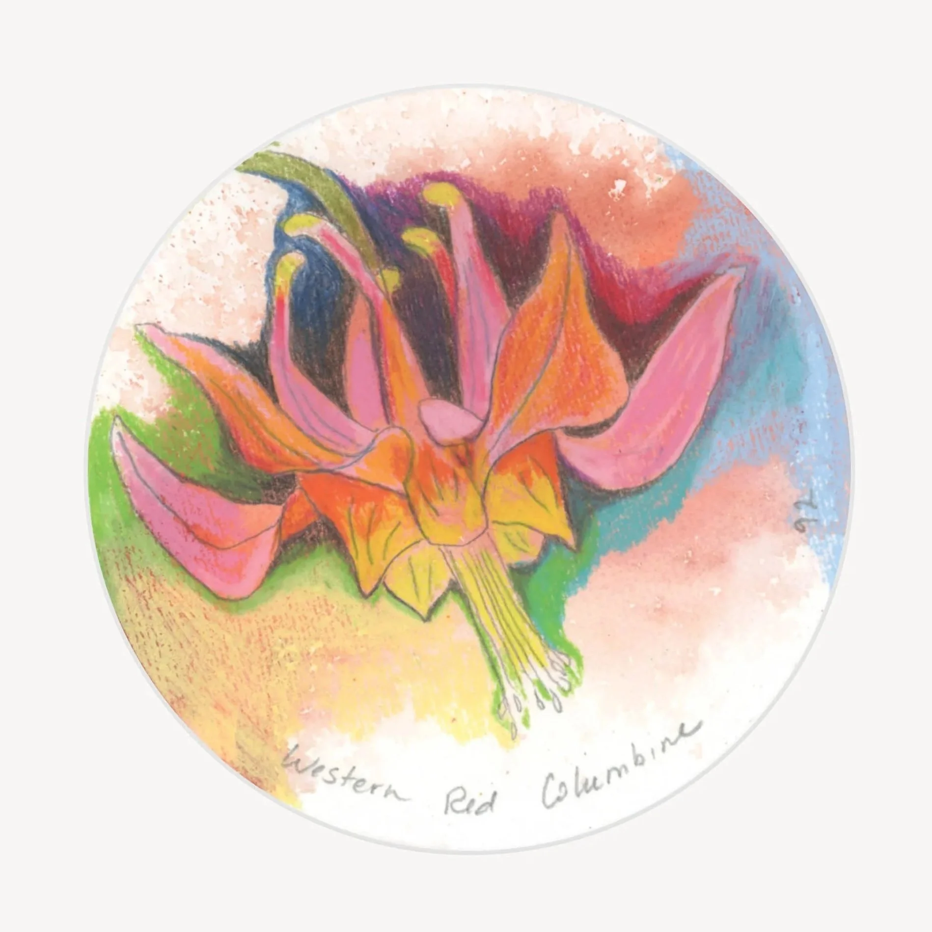 100 Days - No. 092, Western Red Columbine