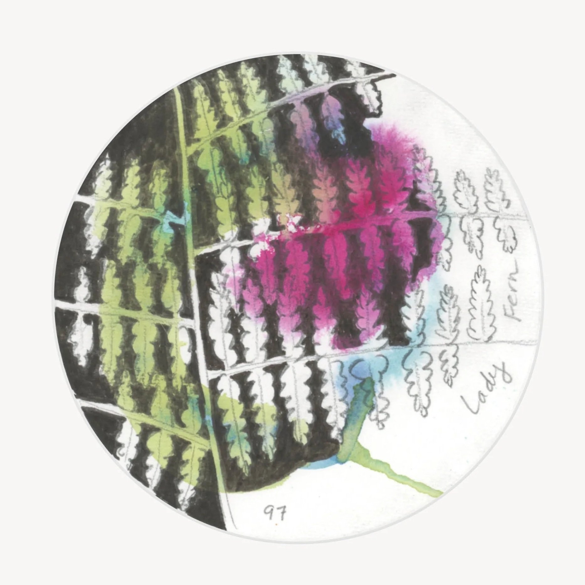 100 Days - No. 097, Lady Fern