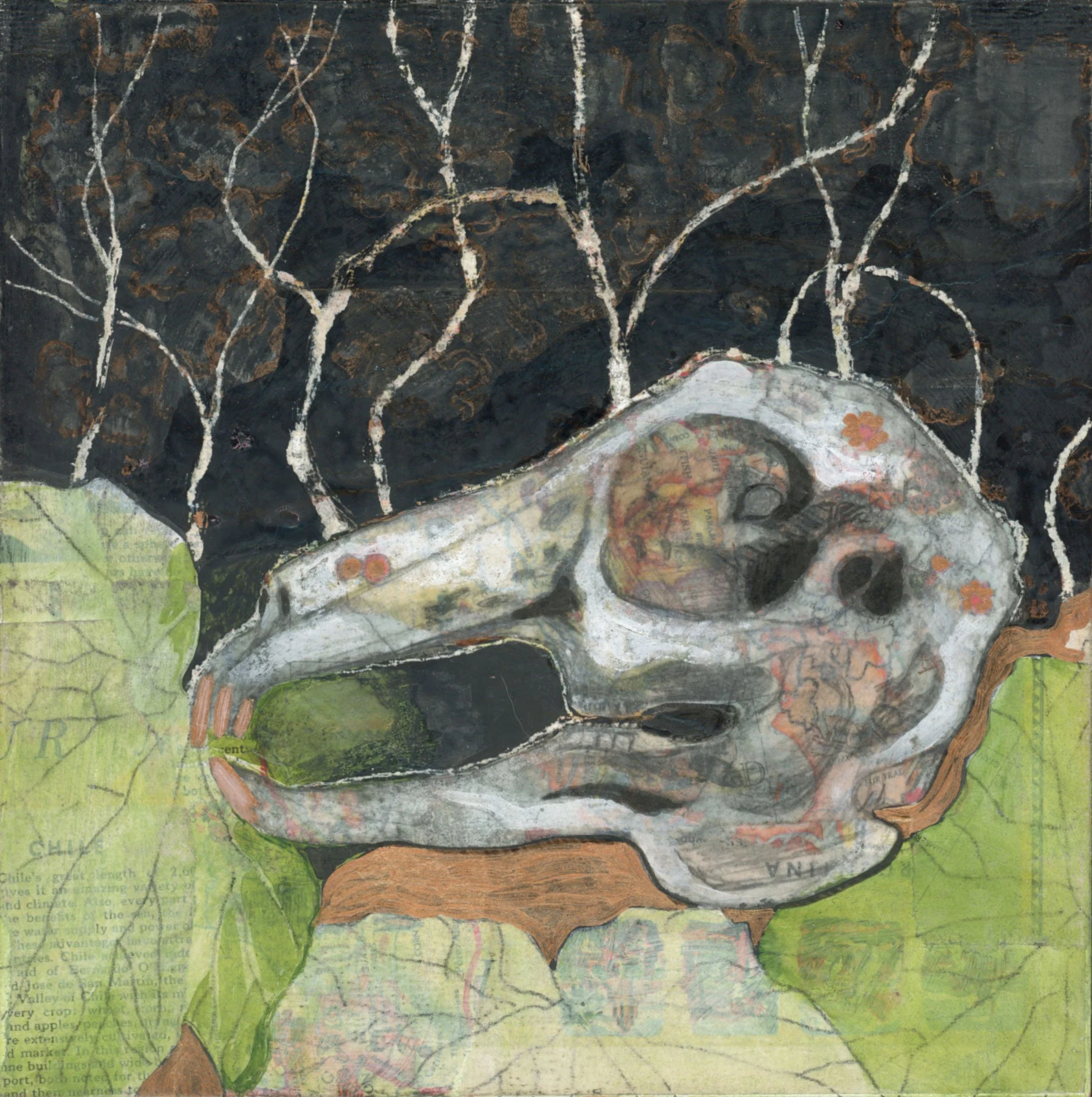 Skull Study, Wild Hare - Original Mixed Media Art