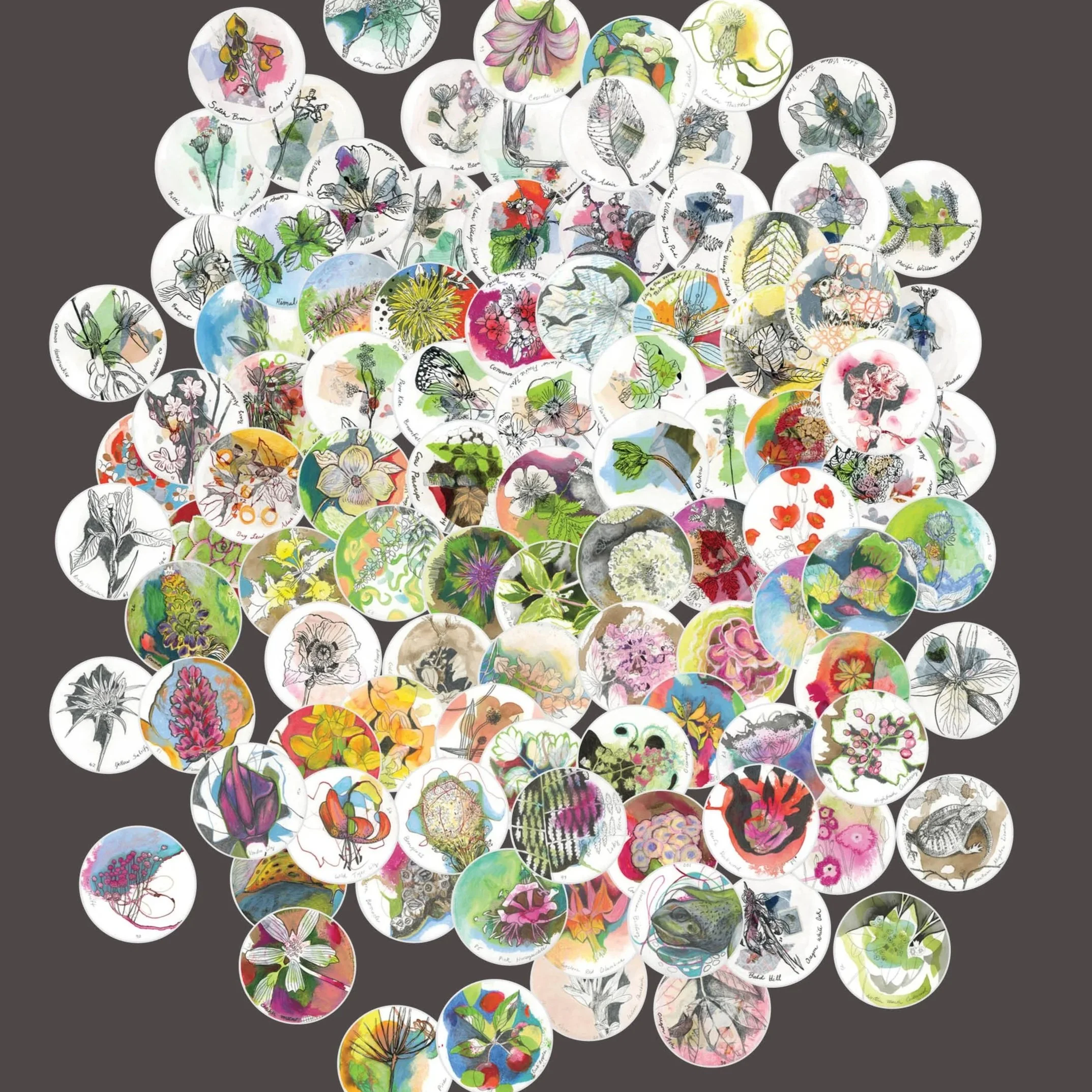 Botanical Drawings | 2025