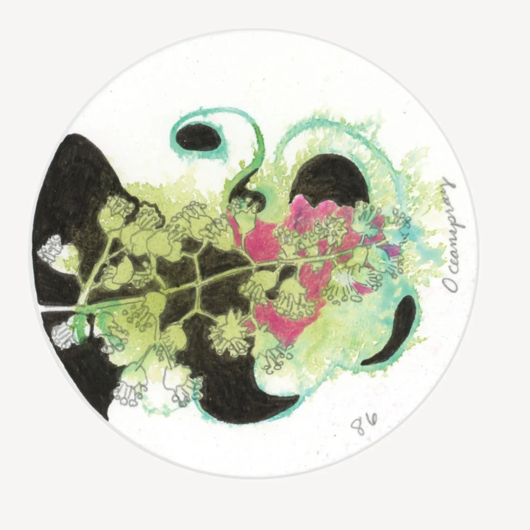 100 Days - No. 086, Oceanspray