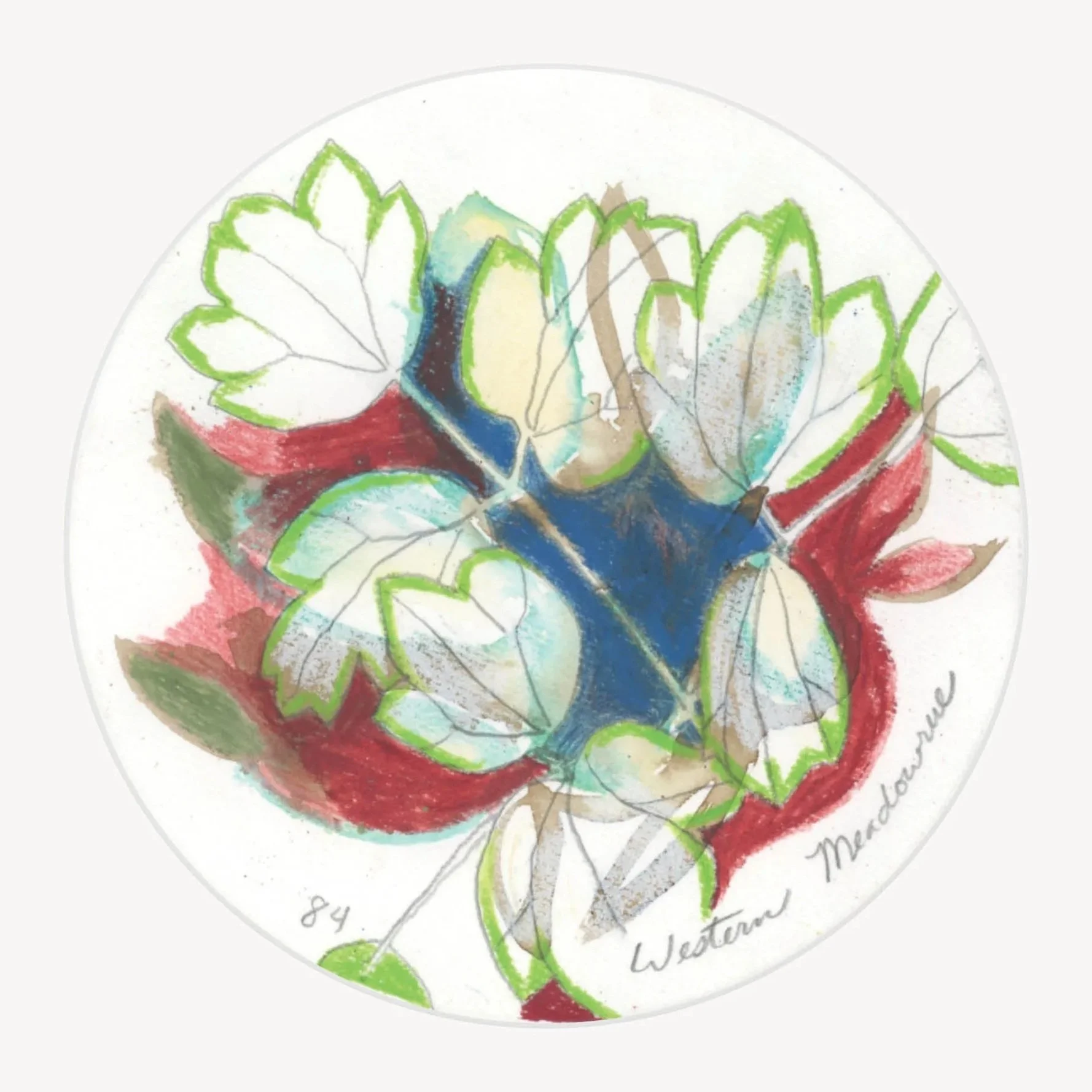 100 Days - No. 084, Western Meadowrue