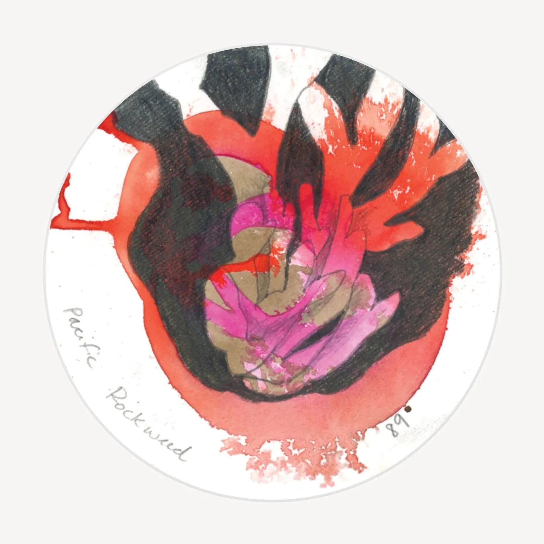 100 Days - No. 089, Pacific Rockweed