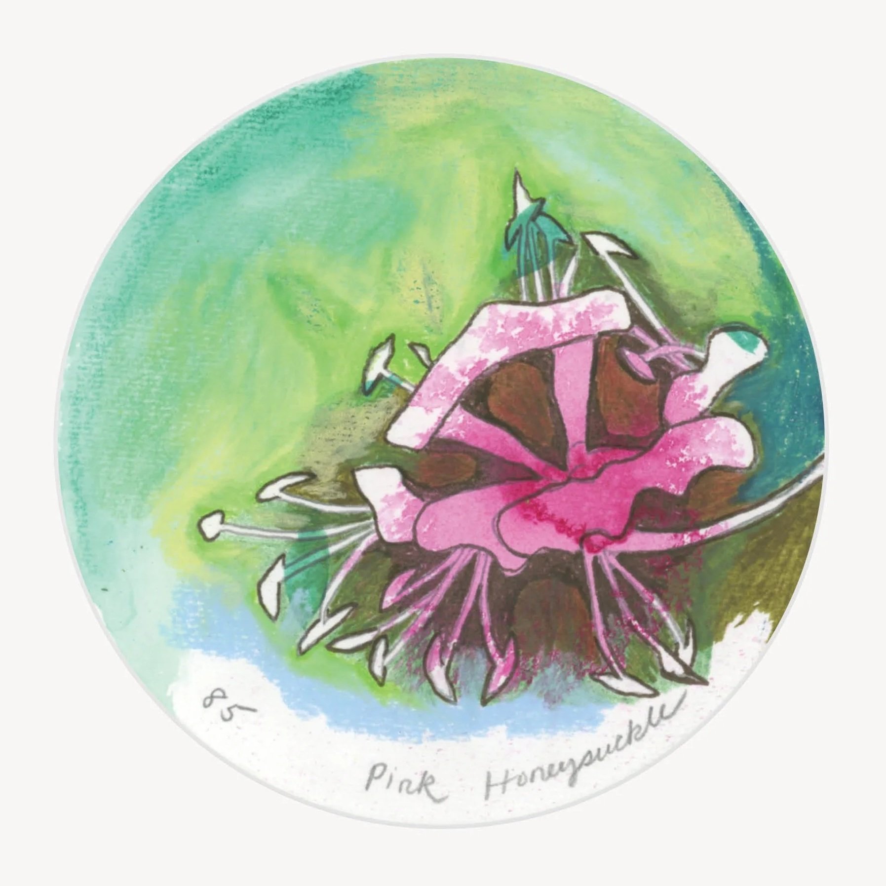 100 Days - No. 085, Pink Honeysuckle