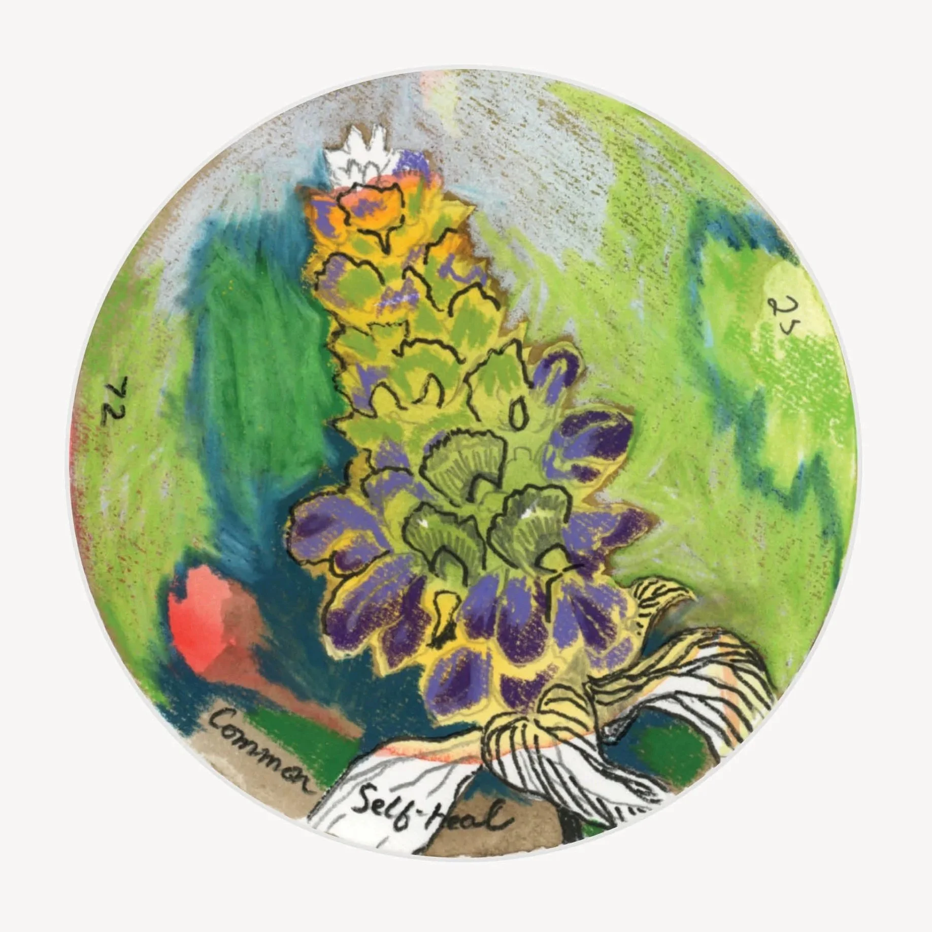 100 Days - No. 072, Common Self-heal